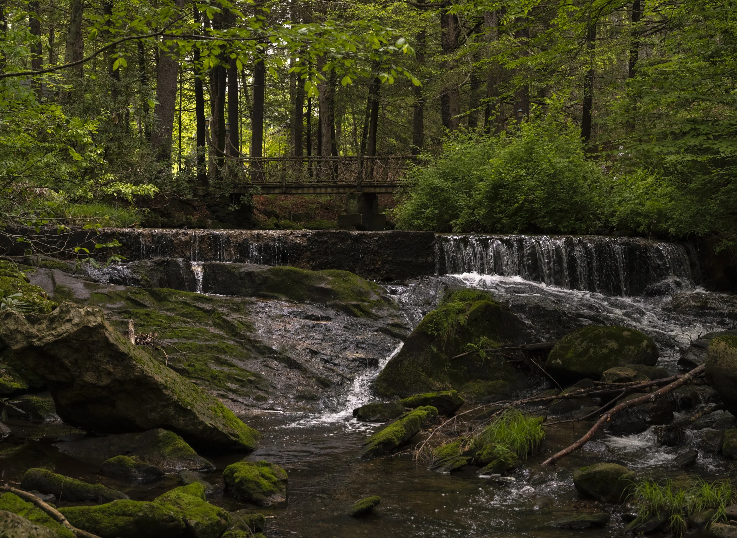 James Coviello - Camp 1937 - Preview-3.JPG
