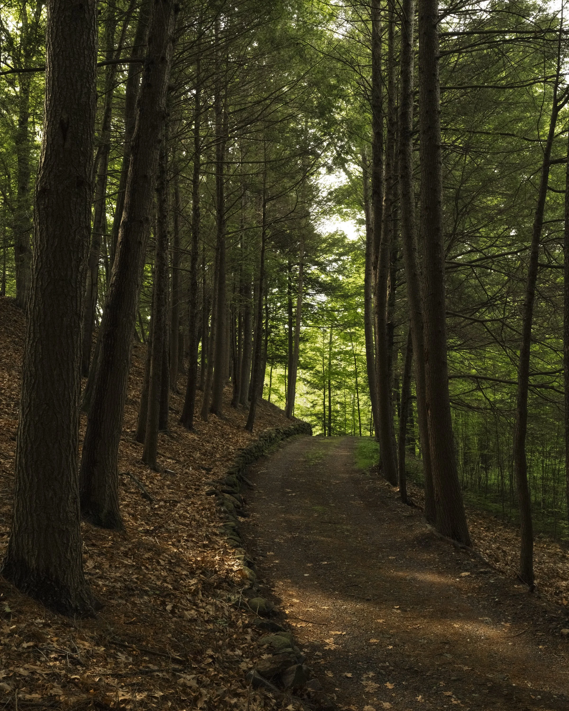 James Coviello - Camp 1937 - Preview-2.JPG