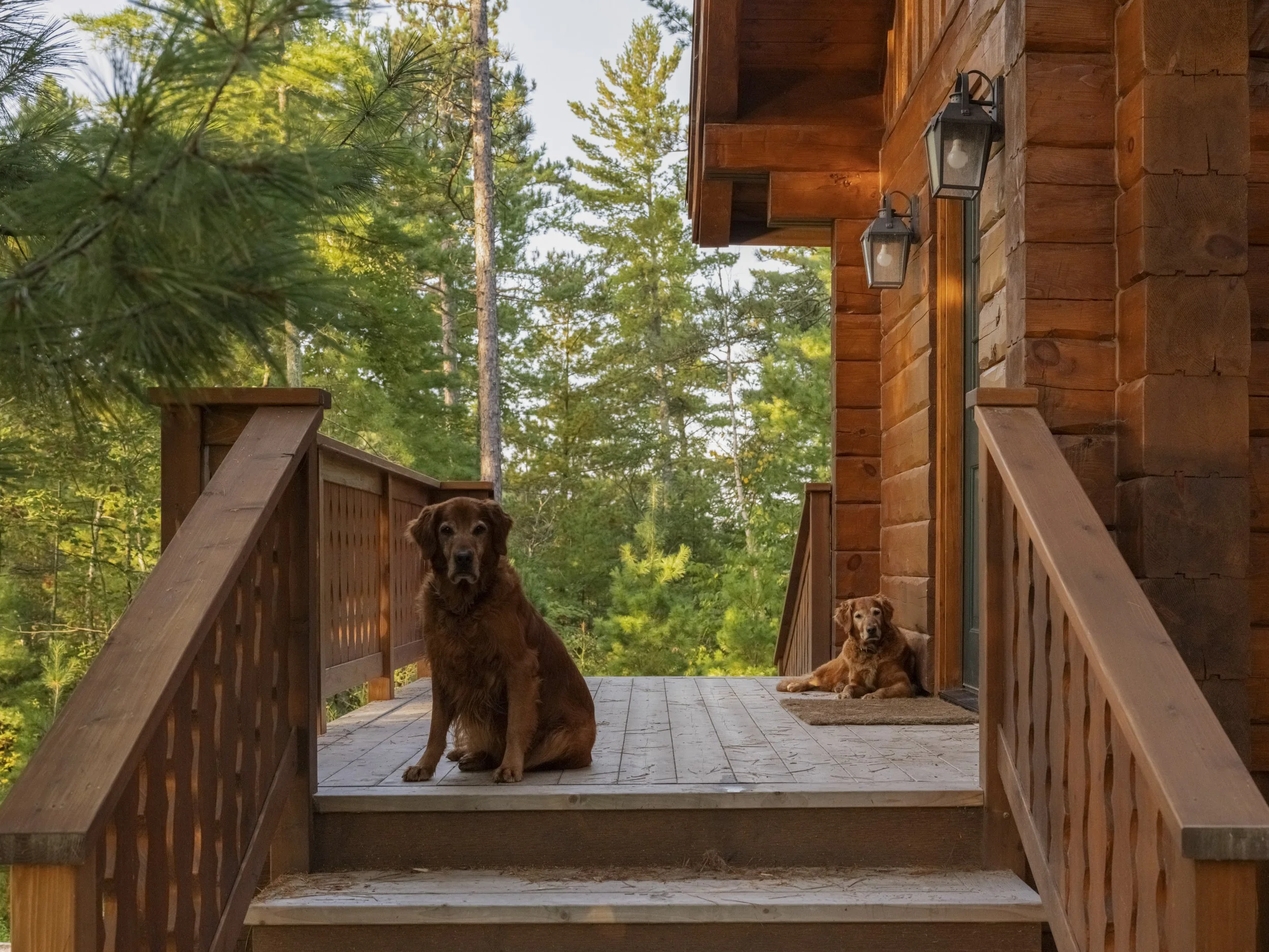 McNeely Cabins - Web-85.jpg
