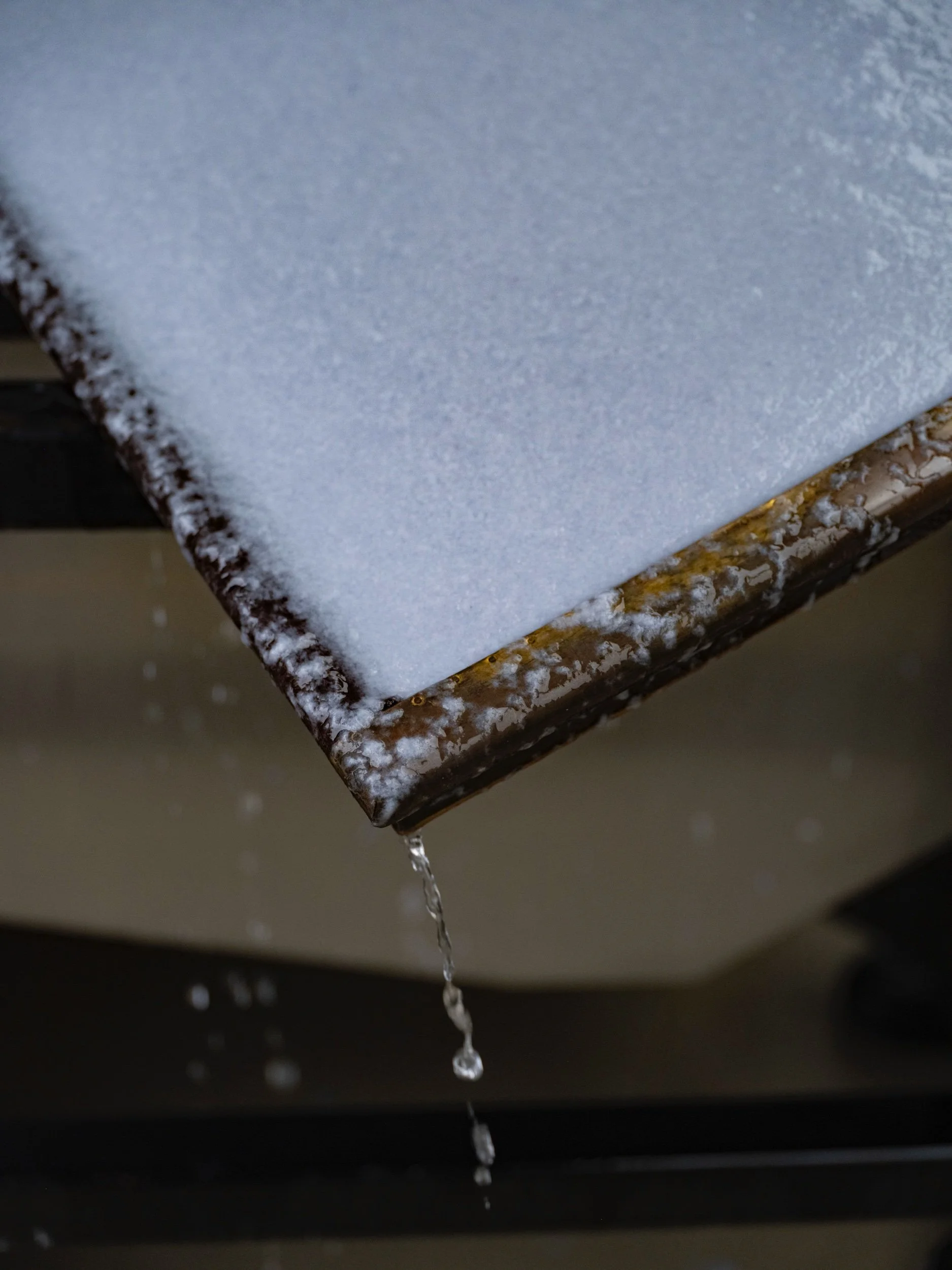 Cabana Magazine - Paper Foundation-44.jpeg