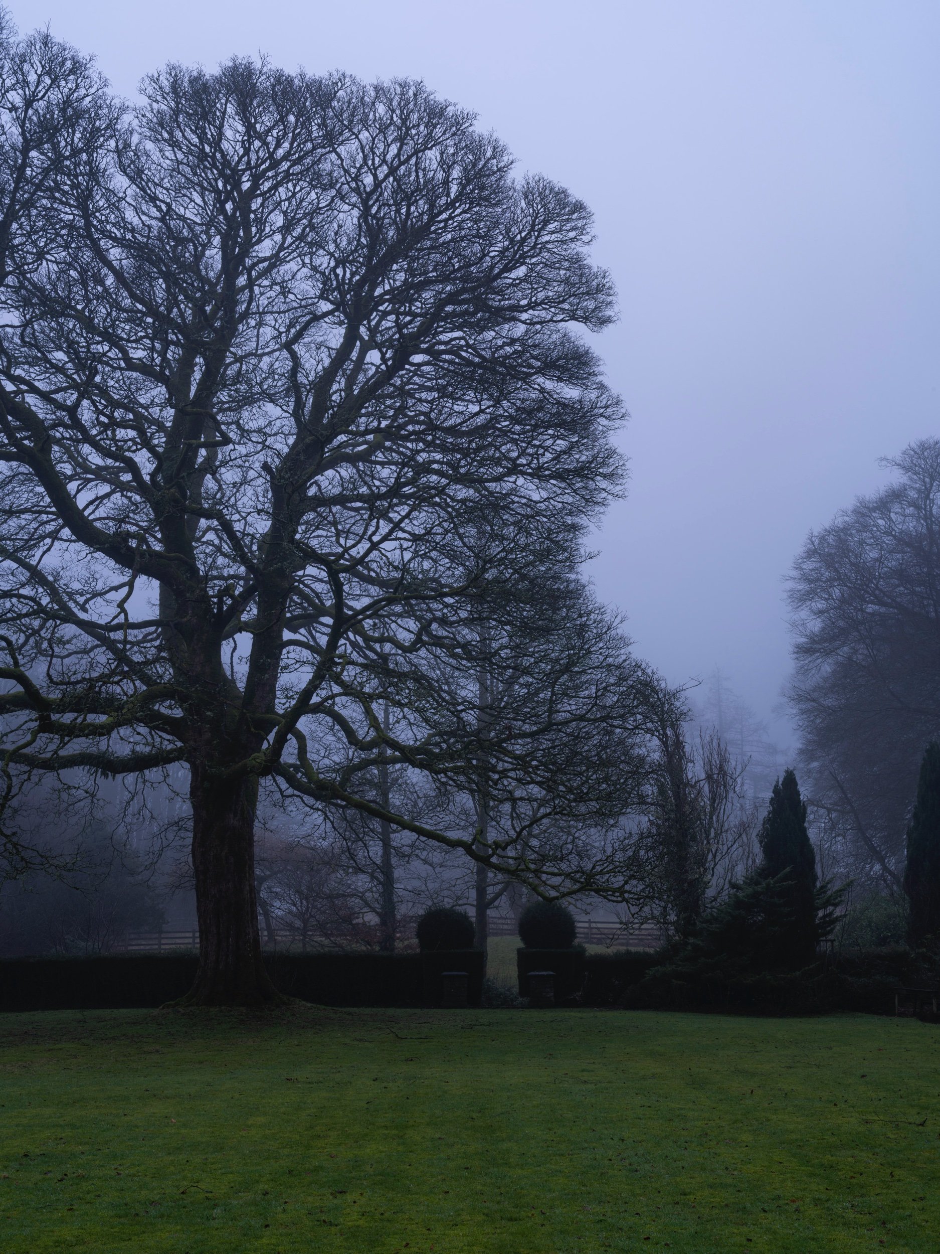 Cabana Magazine - Paper Foundation-114.jpeg