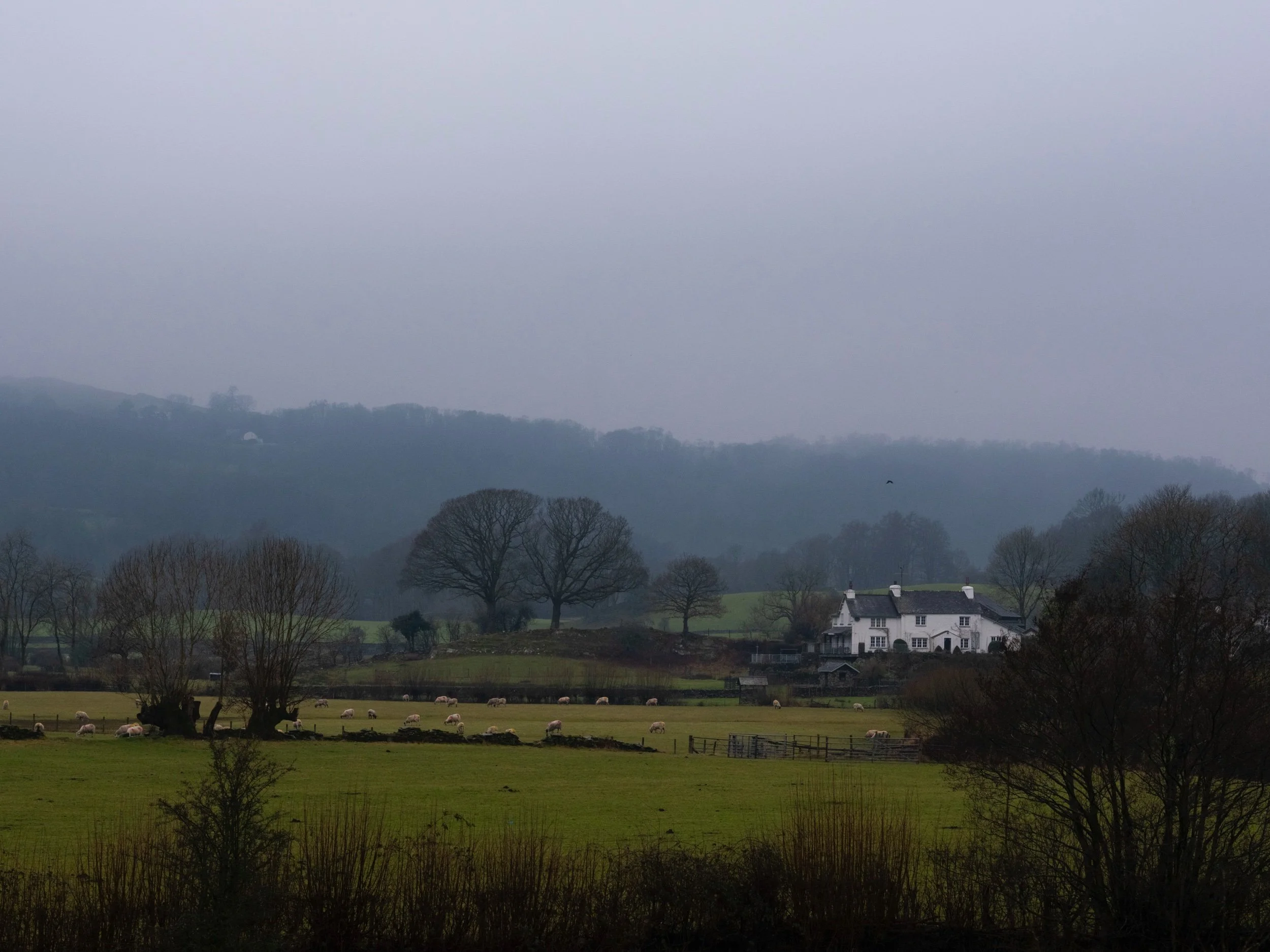 Cabana Magazine - Paper Foundation-4.jpeg