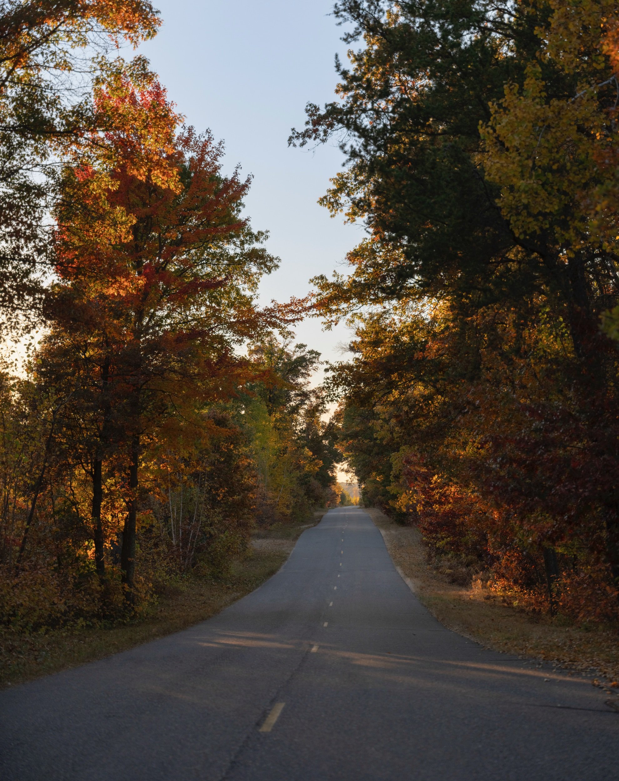 Henri Interiors - Vogue Living-1.jpeg