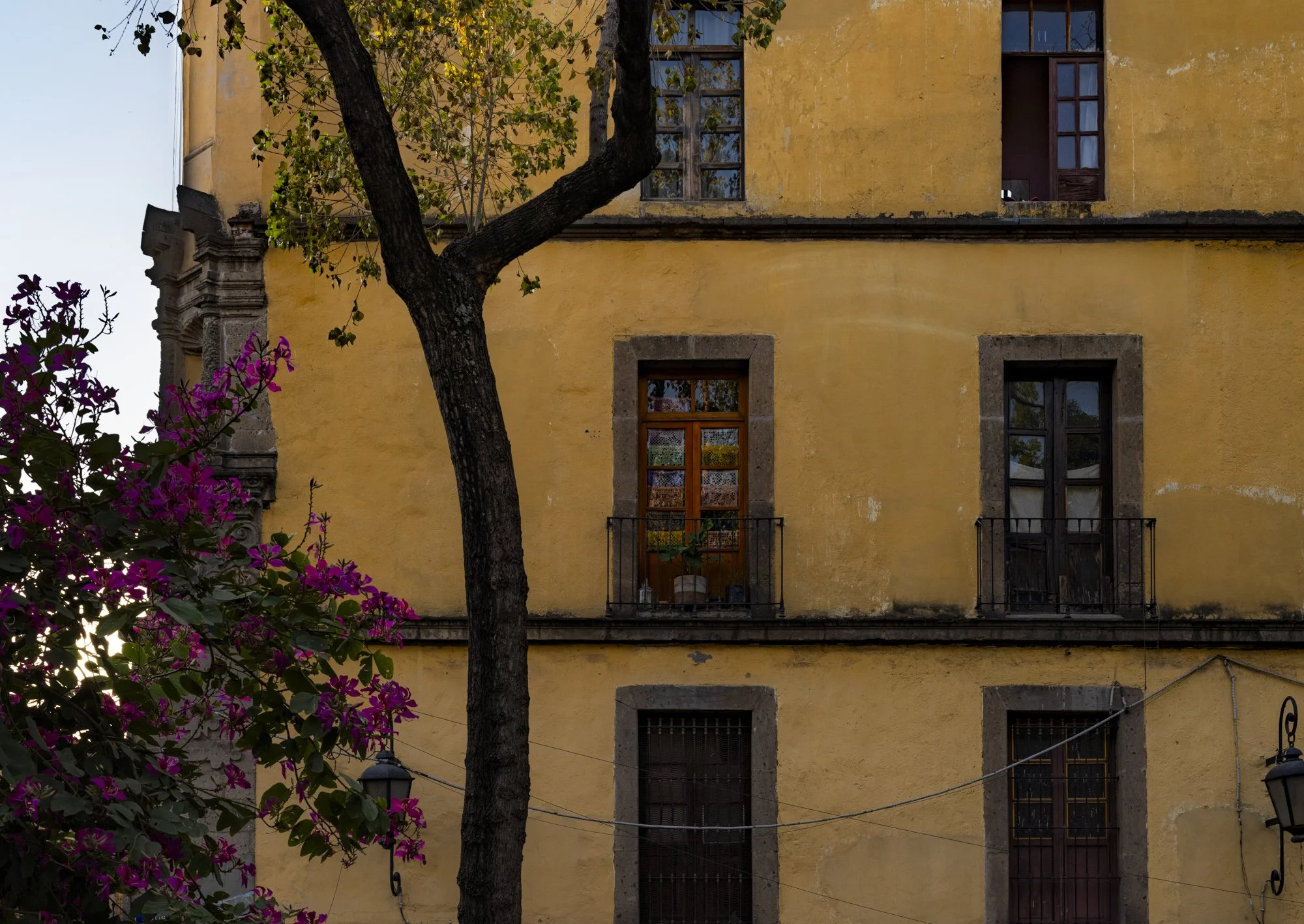 Stephen & James - CDMX-2.jpg