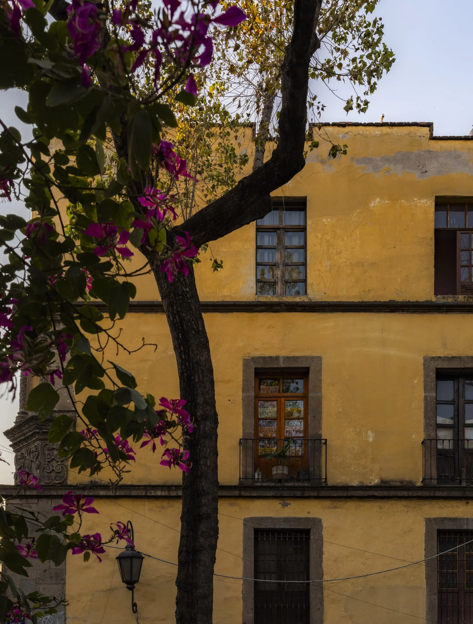 Stephen & James - CDMX-3.jpg
