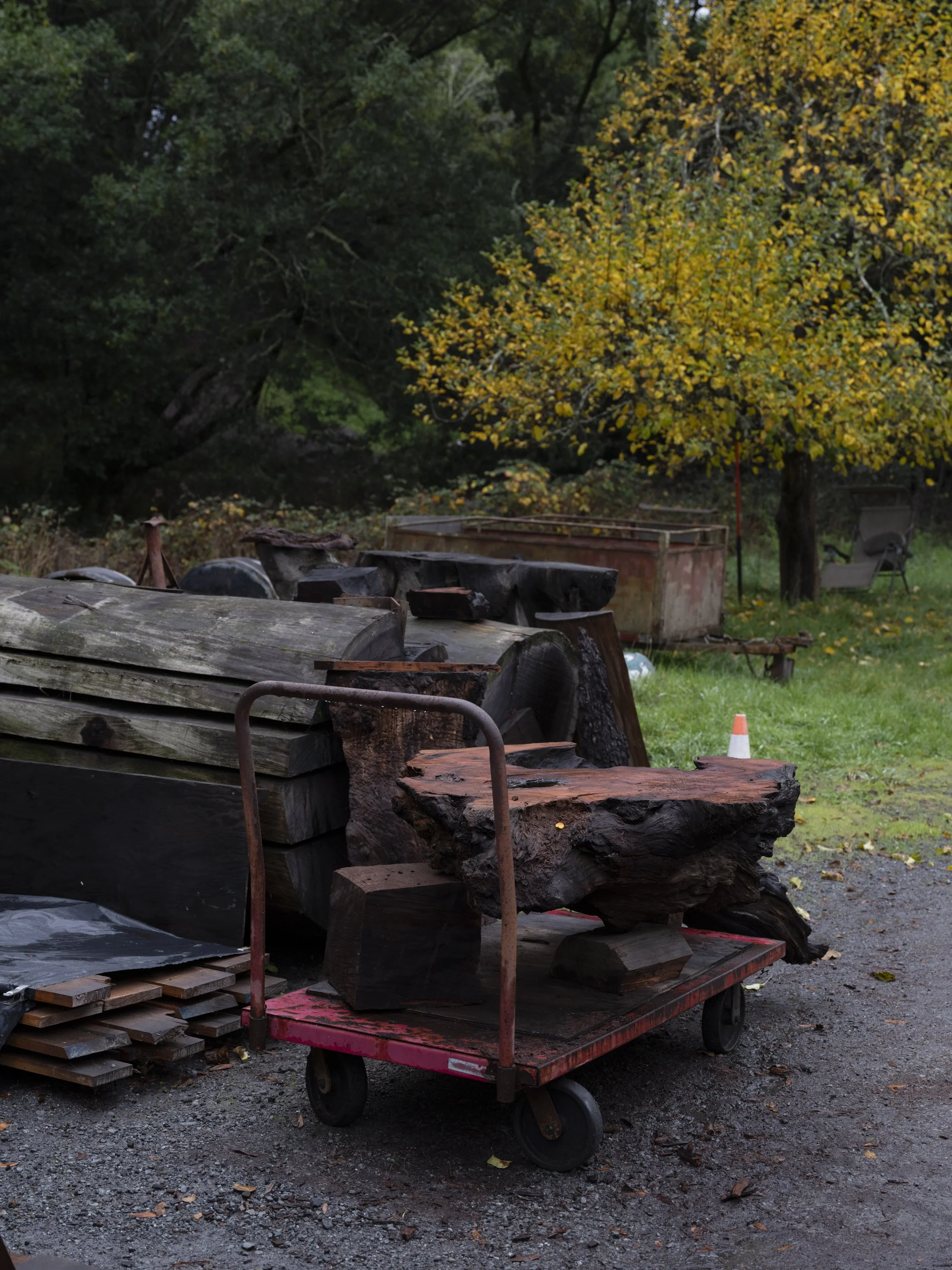 Ido Yoshimoto-11.jpg