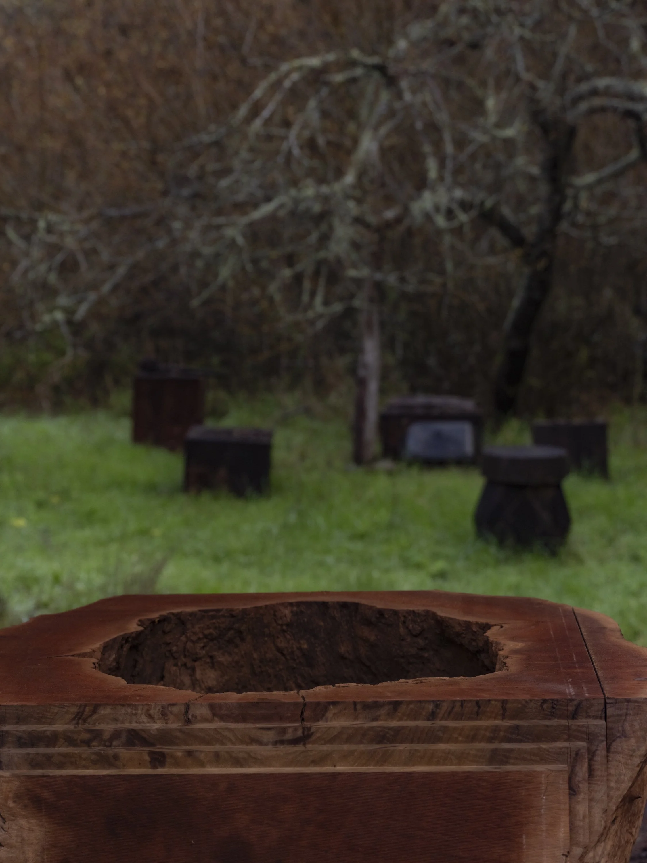 Ido Yoshimoto-19.jpg