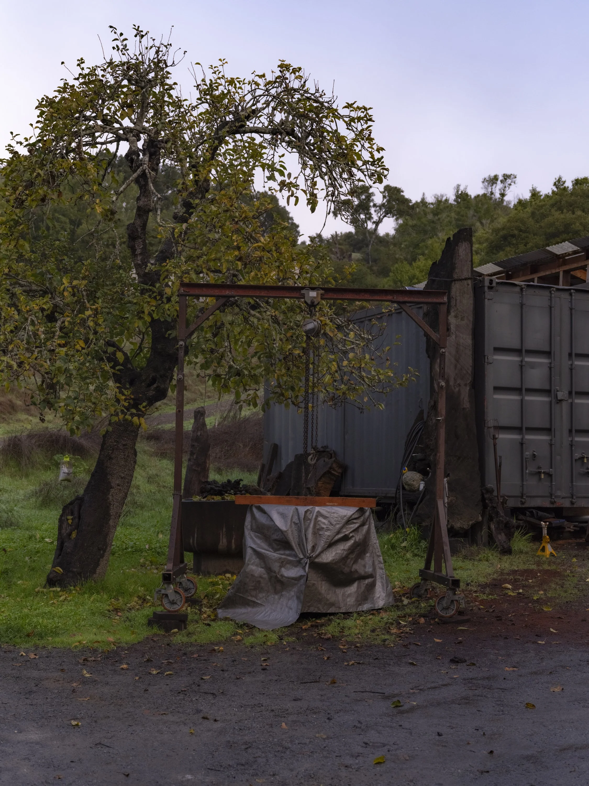 Ido Yoshimoto-22.jpg