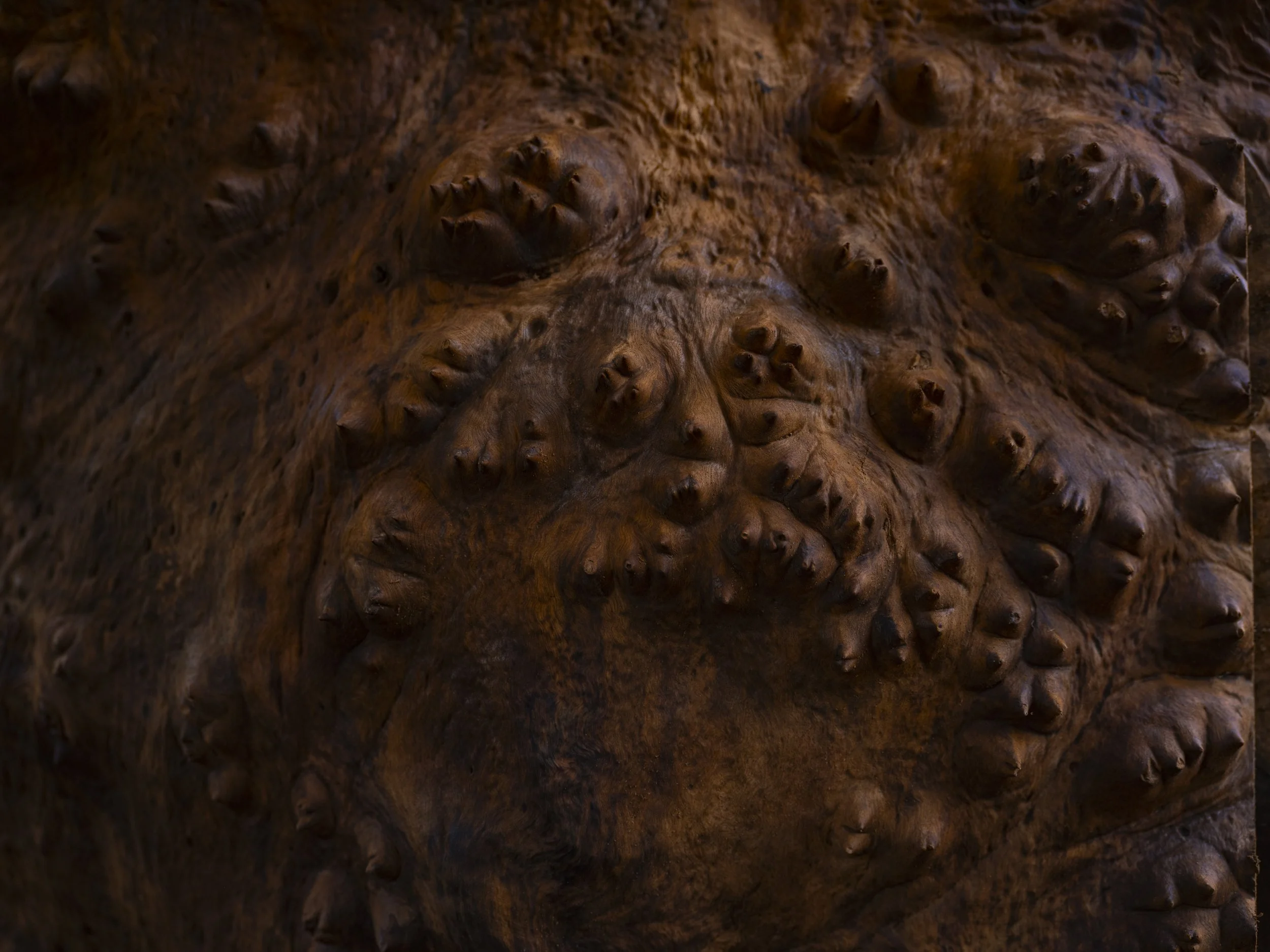 Ido Yoshimoto-32.jpg