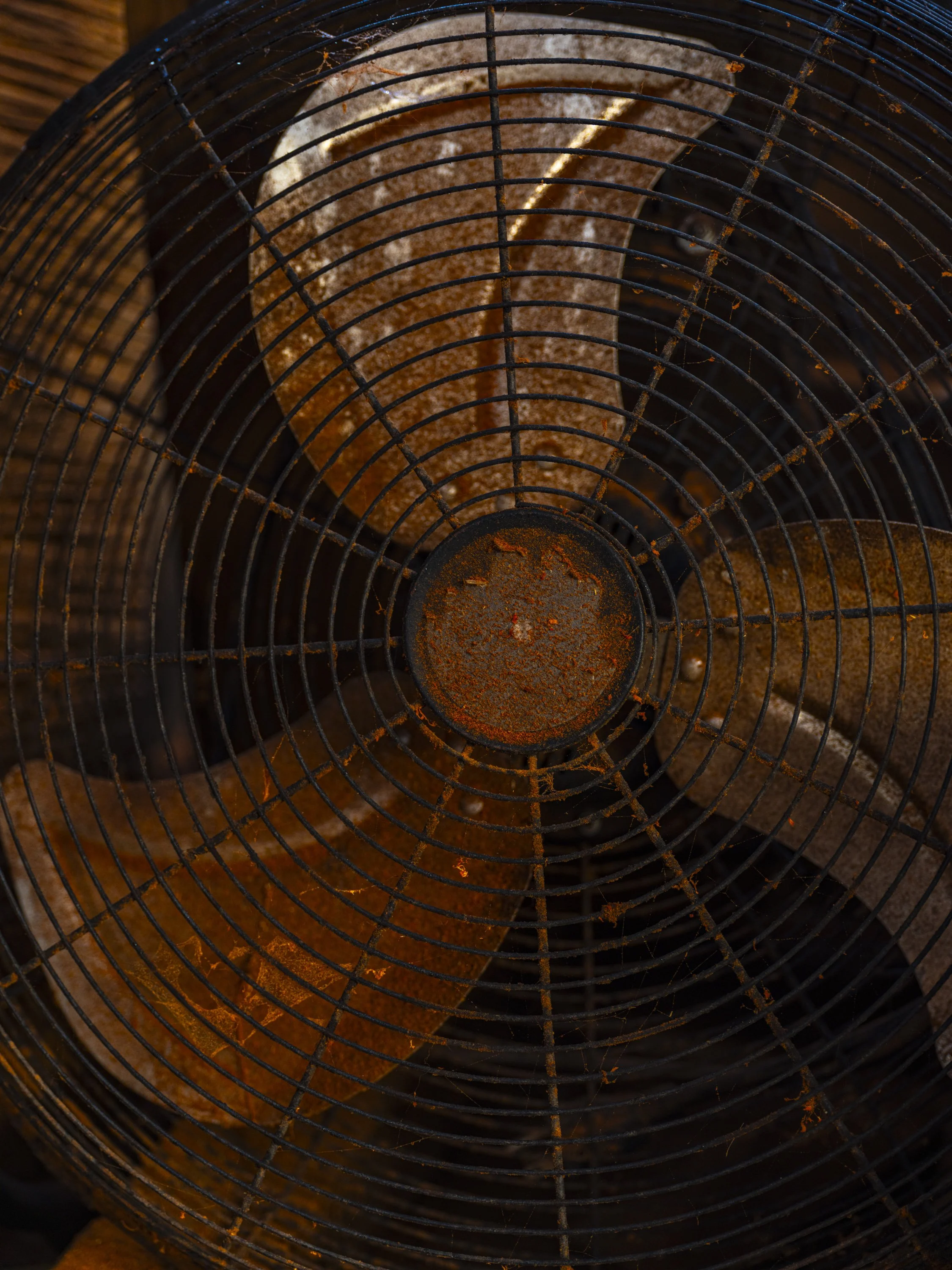 Ido Yoshimoto-33.jpg