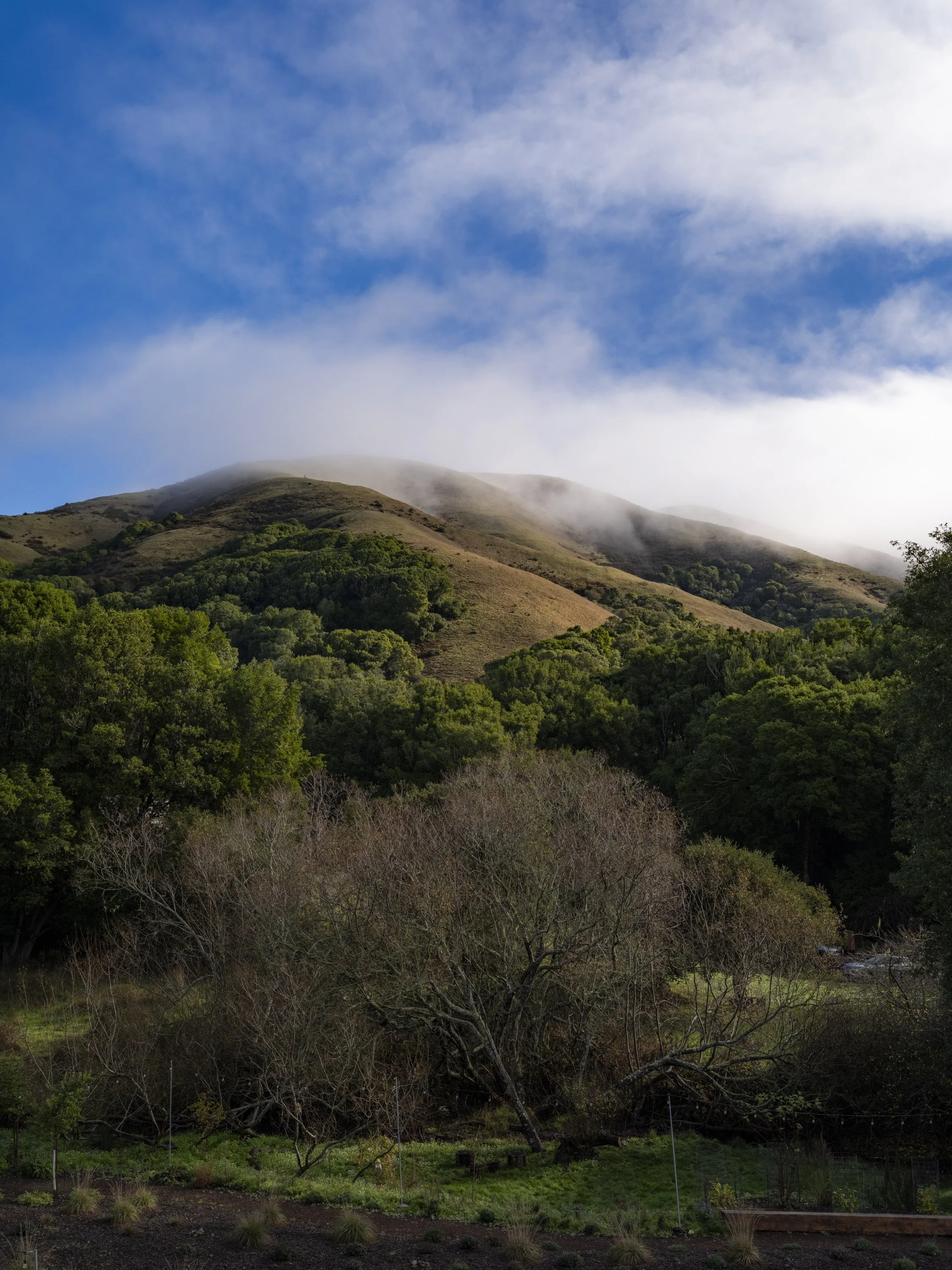 Ido Yoshimoto-37.jpg