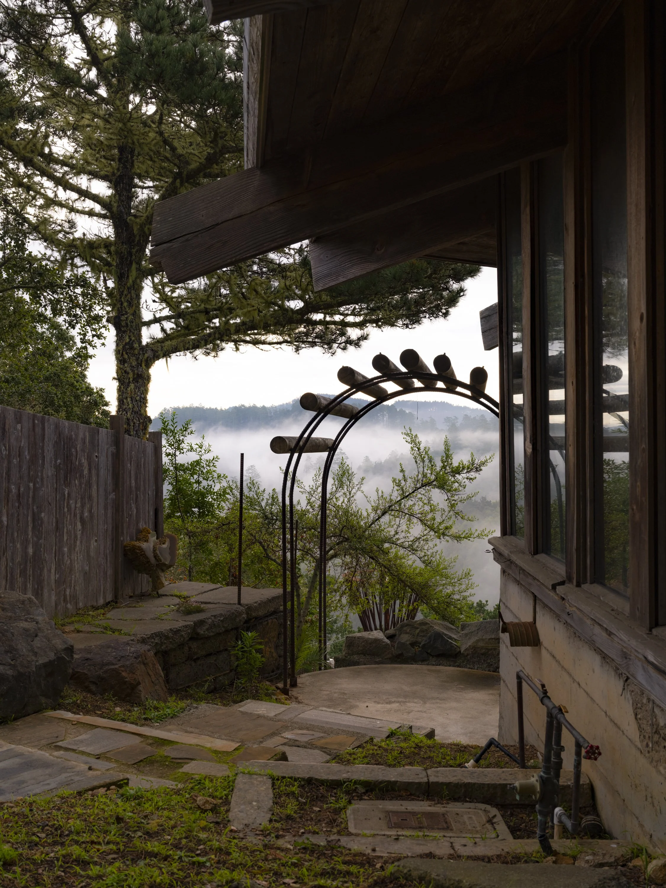 Elizabeth Snowden-1.jpg