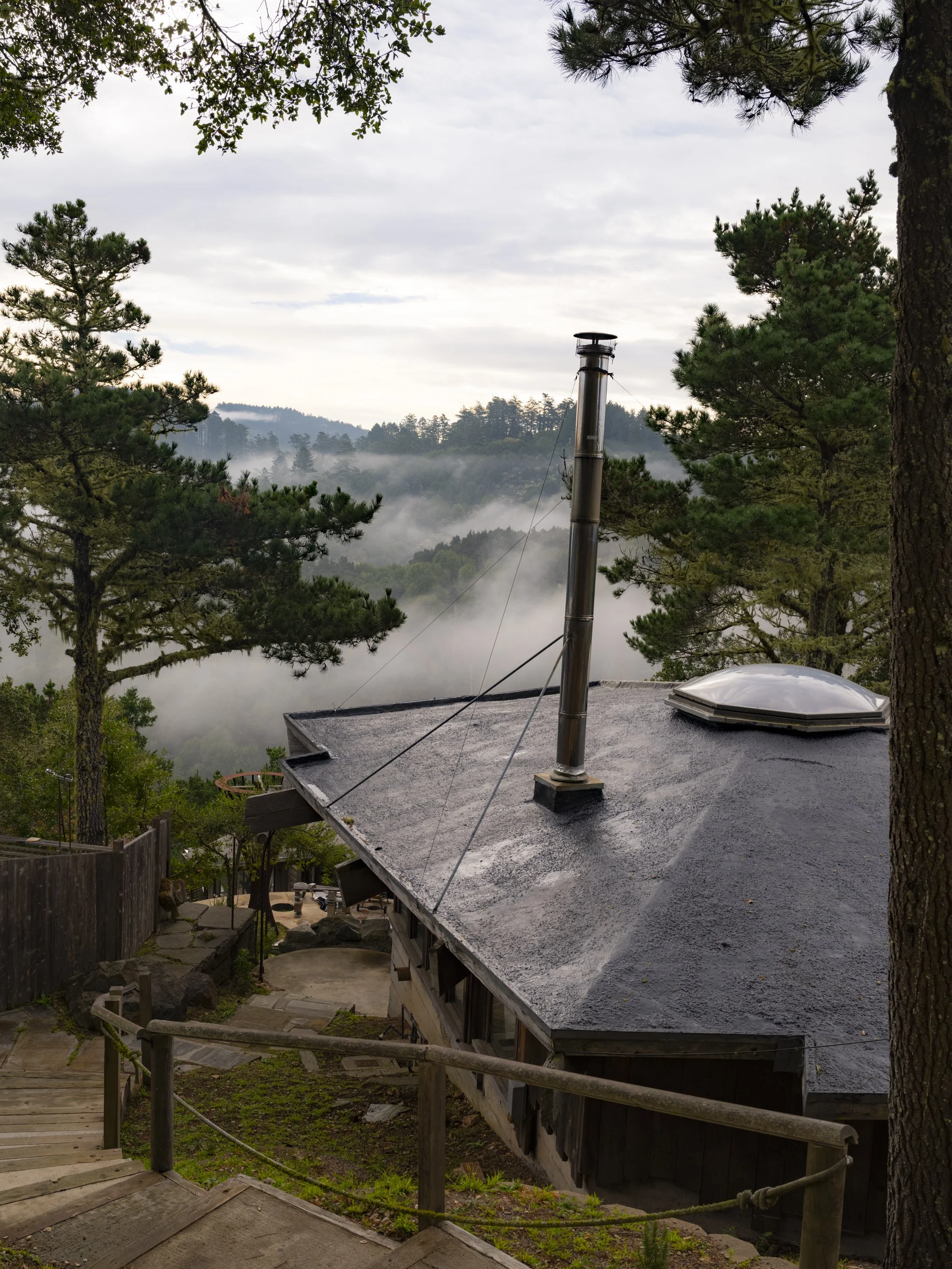 Elizabeth Snowden-3.jpg