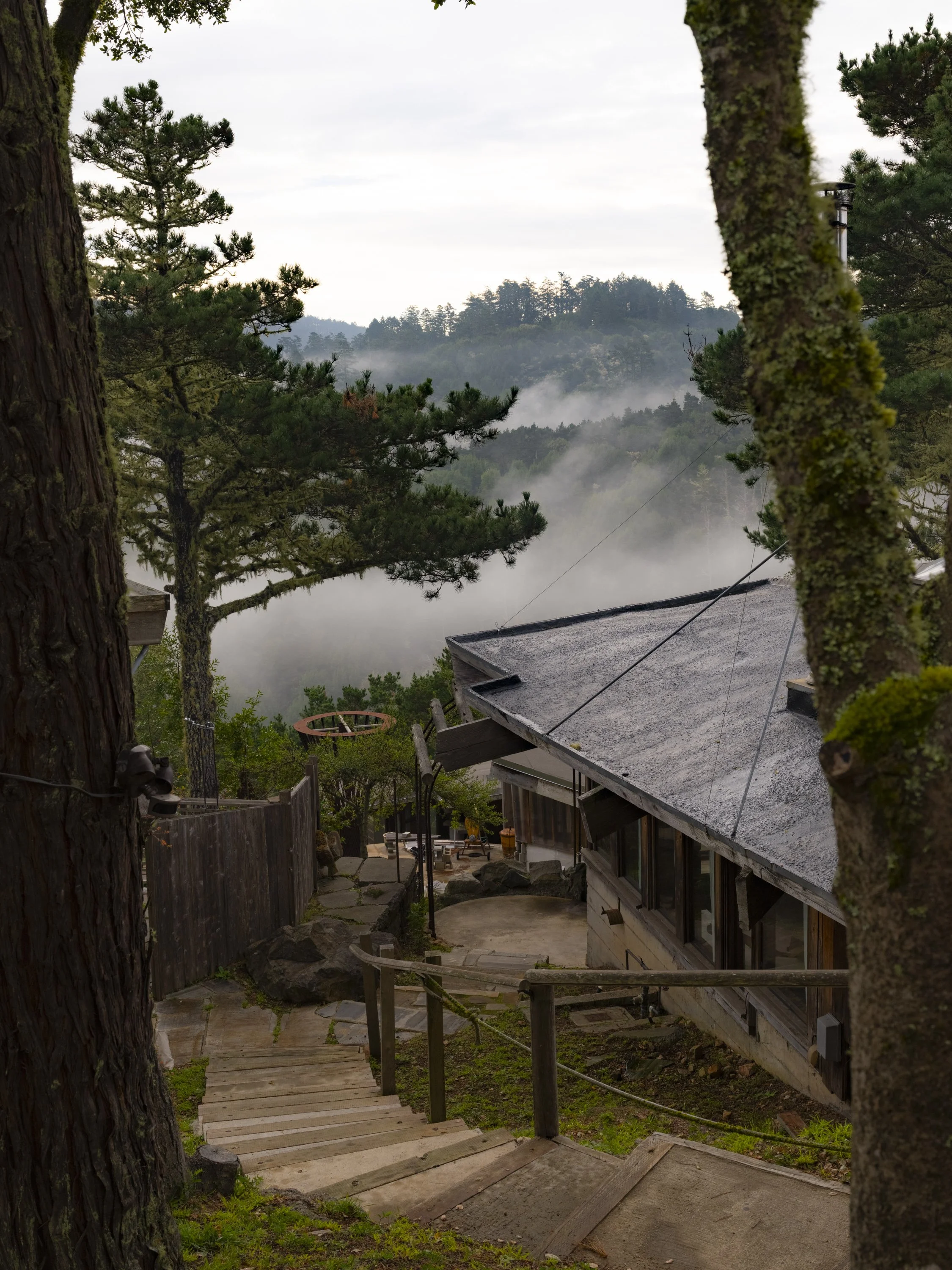 Elizabeth Snowden-4.jpg