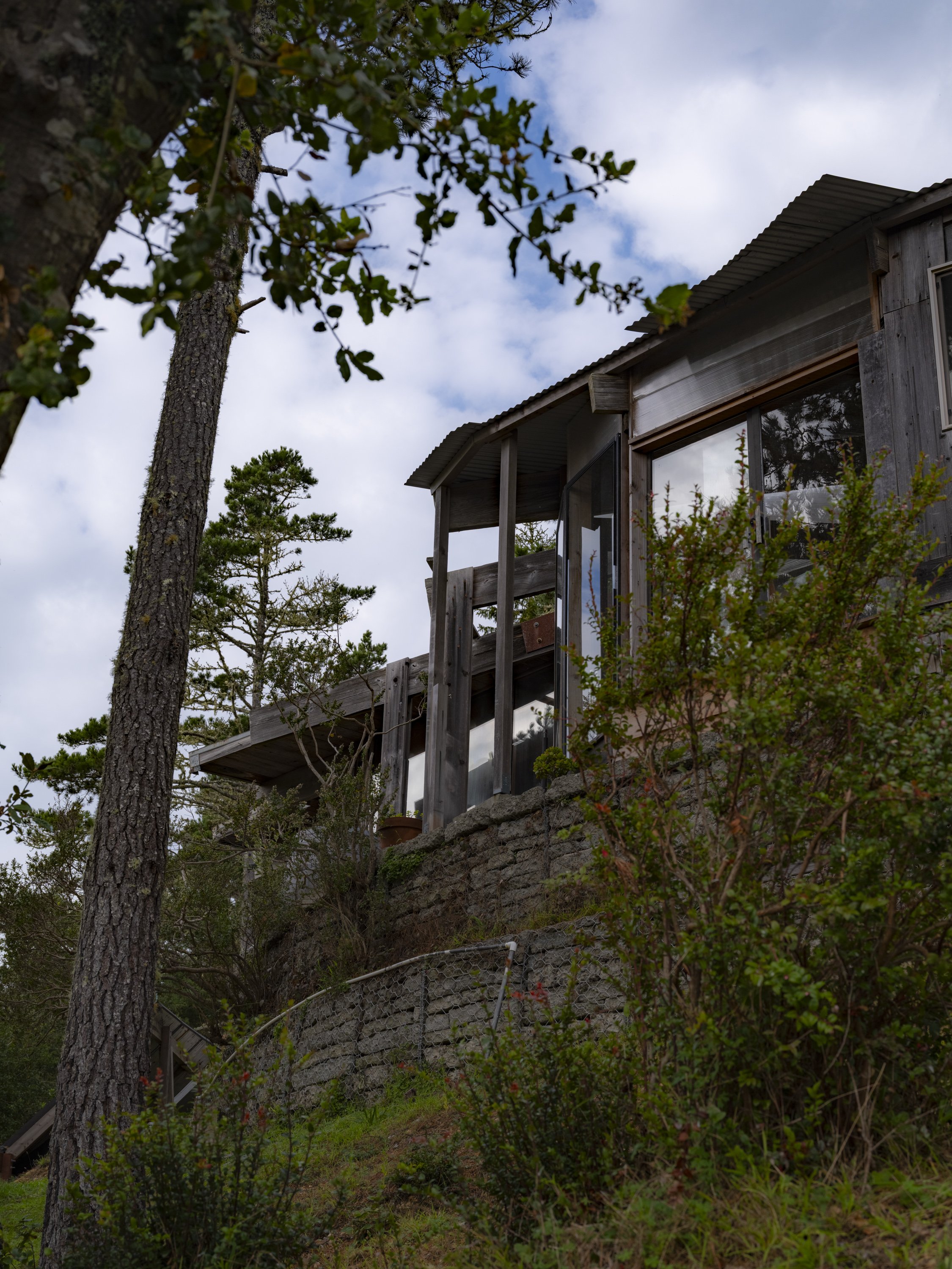 Elizabeth Snowden-5.jpg