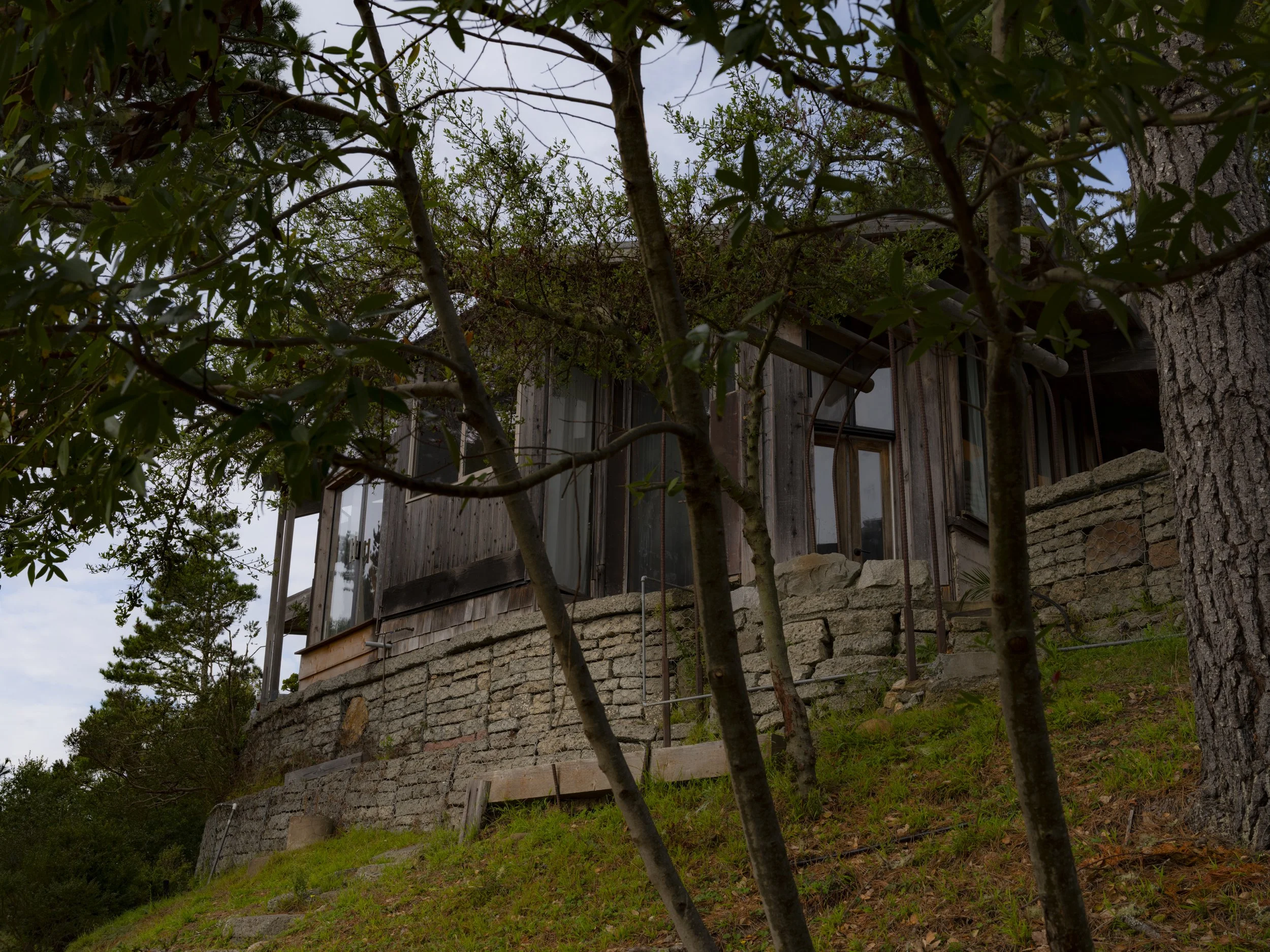 Elizabeth Snowden-6.jpg