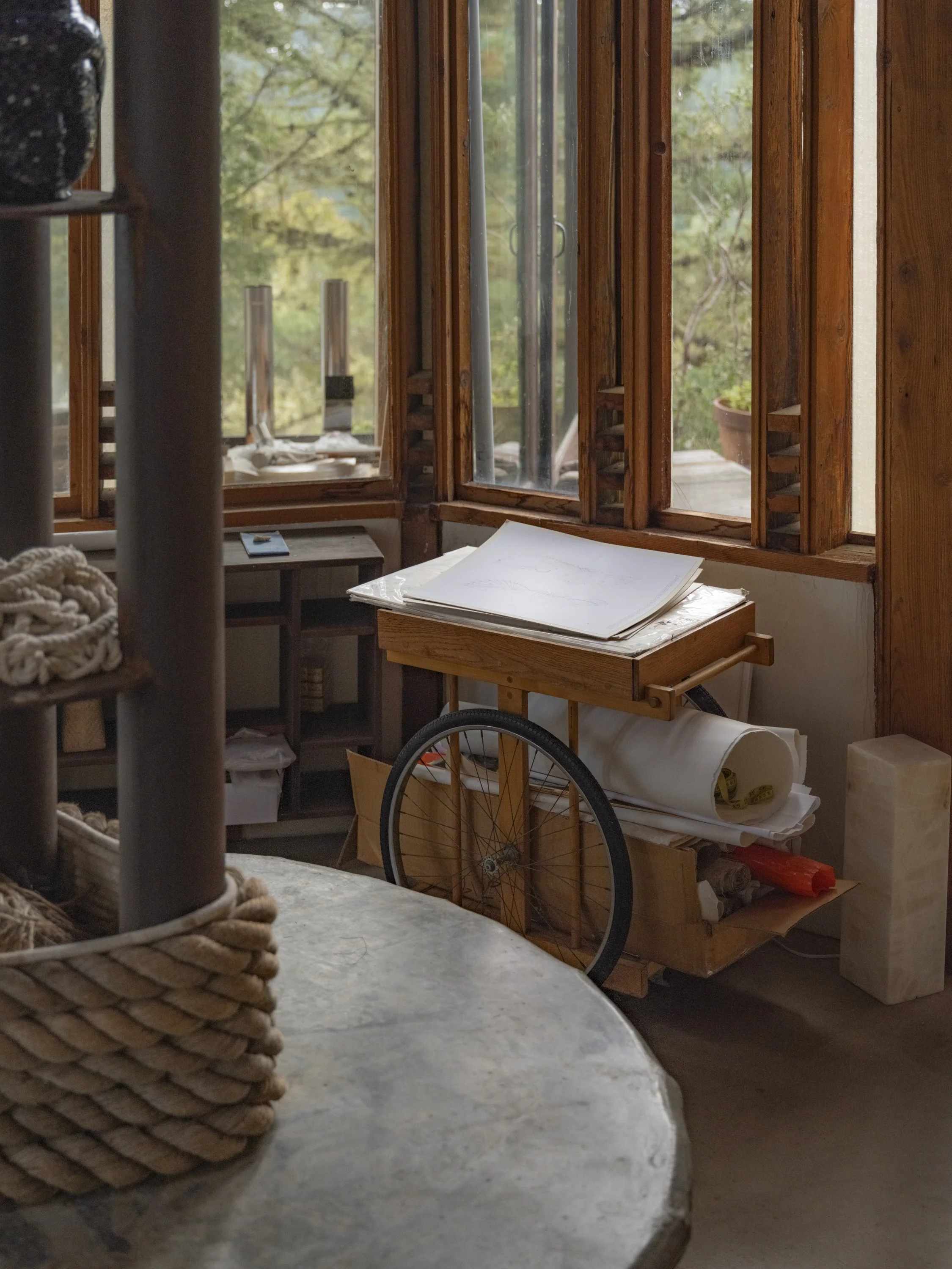 Elizabeth Snowden-13.jpg