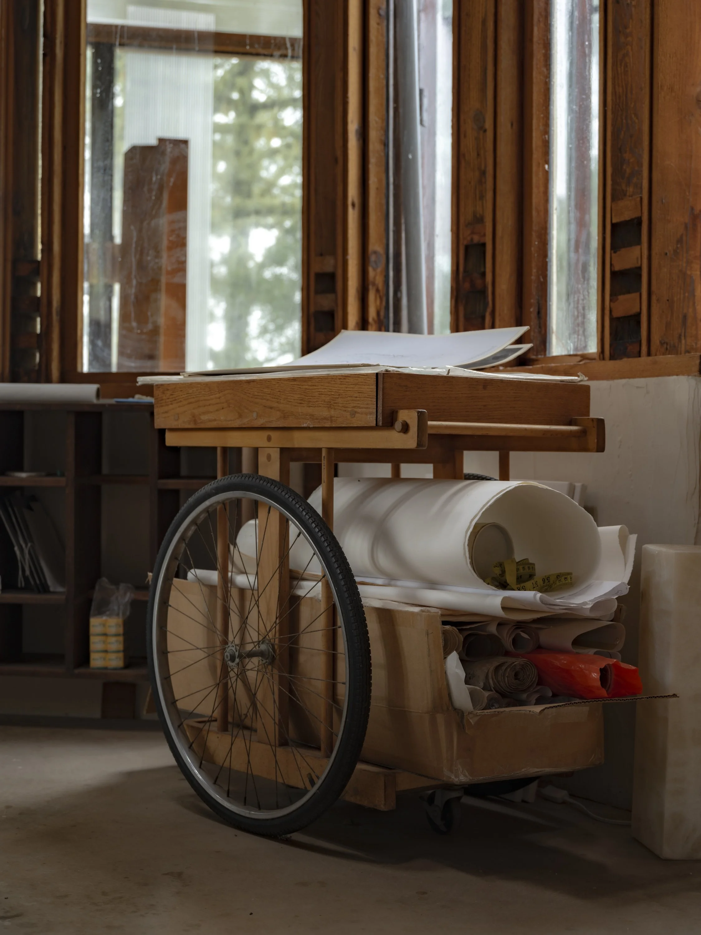 Elizabeth Snowden-14.jpg