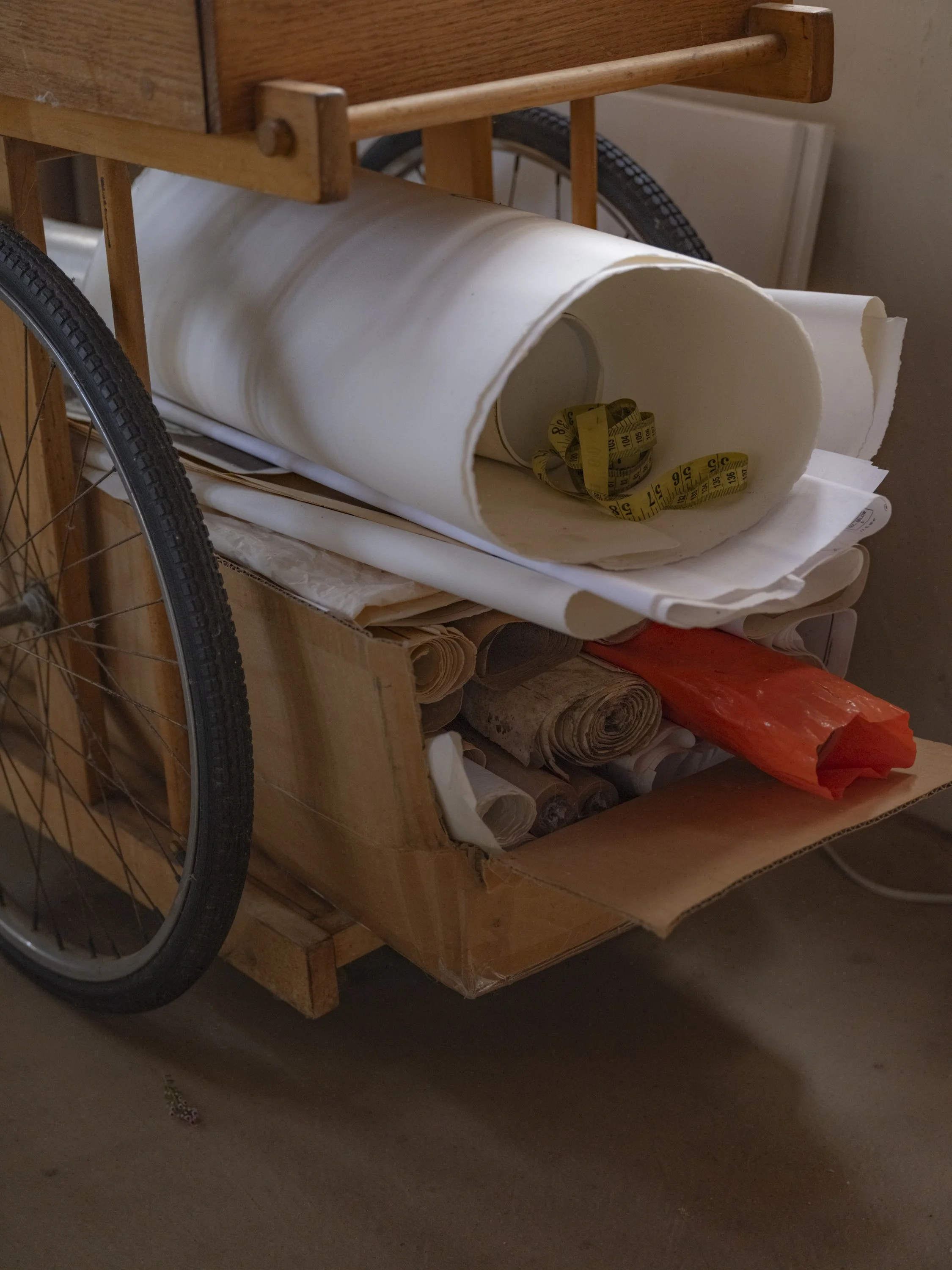 Elizabeth Snowden-15.jpg