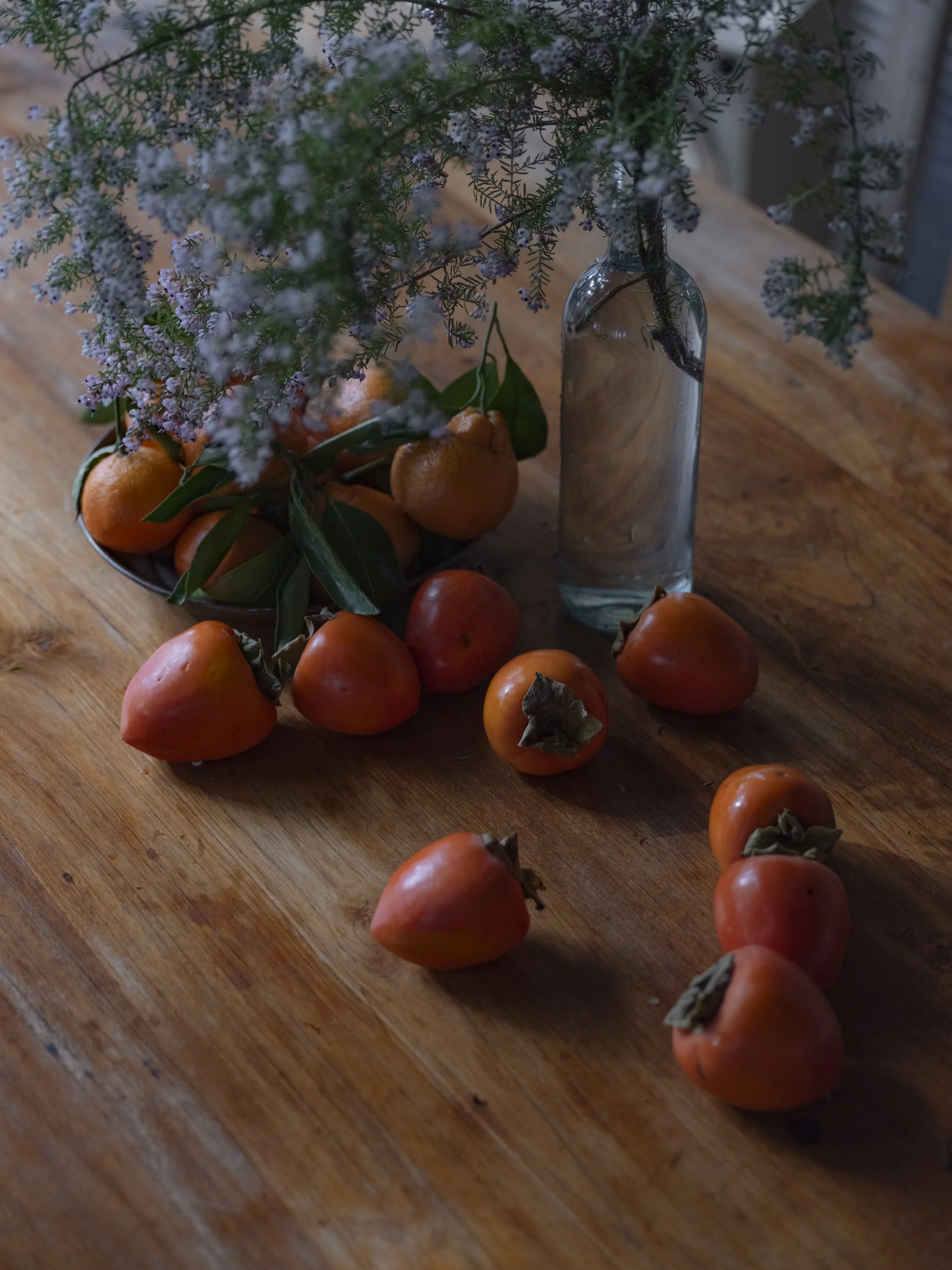 Elizabeth Snowden-34.jpg