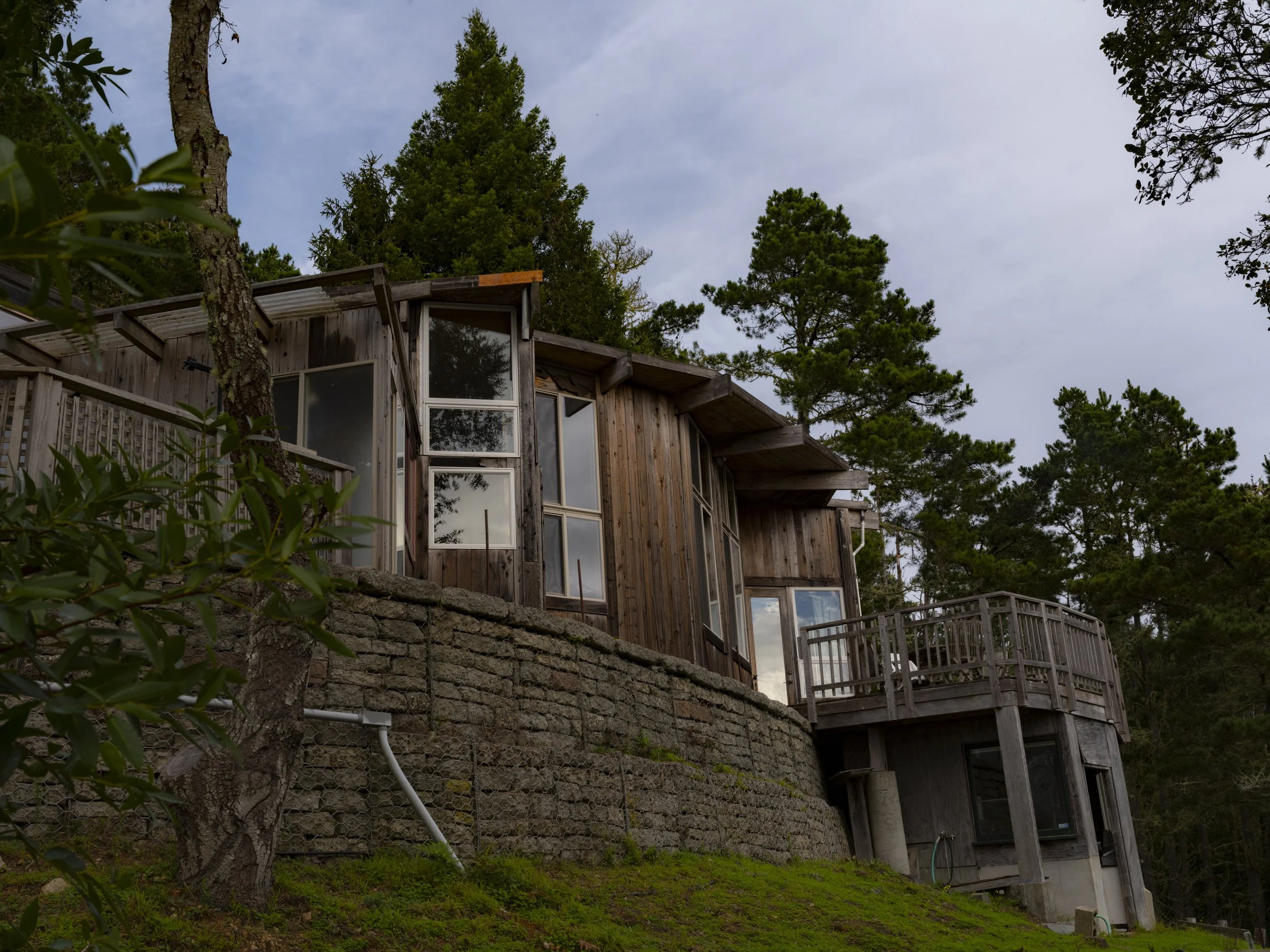 Elizabeth Snowden-41.jpg