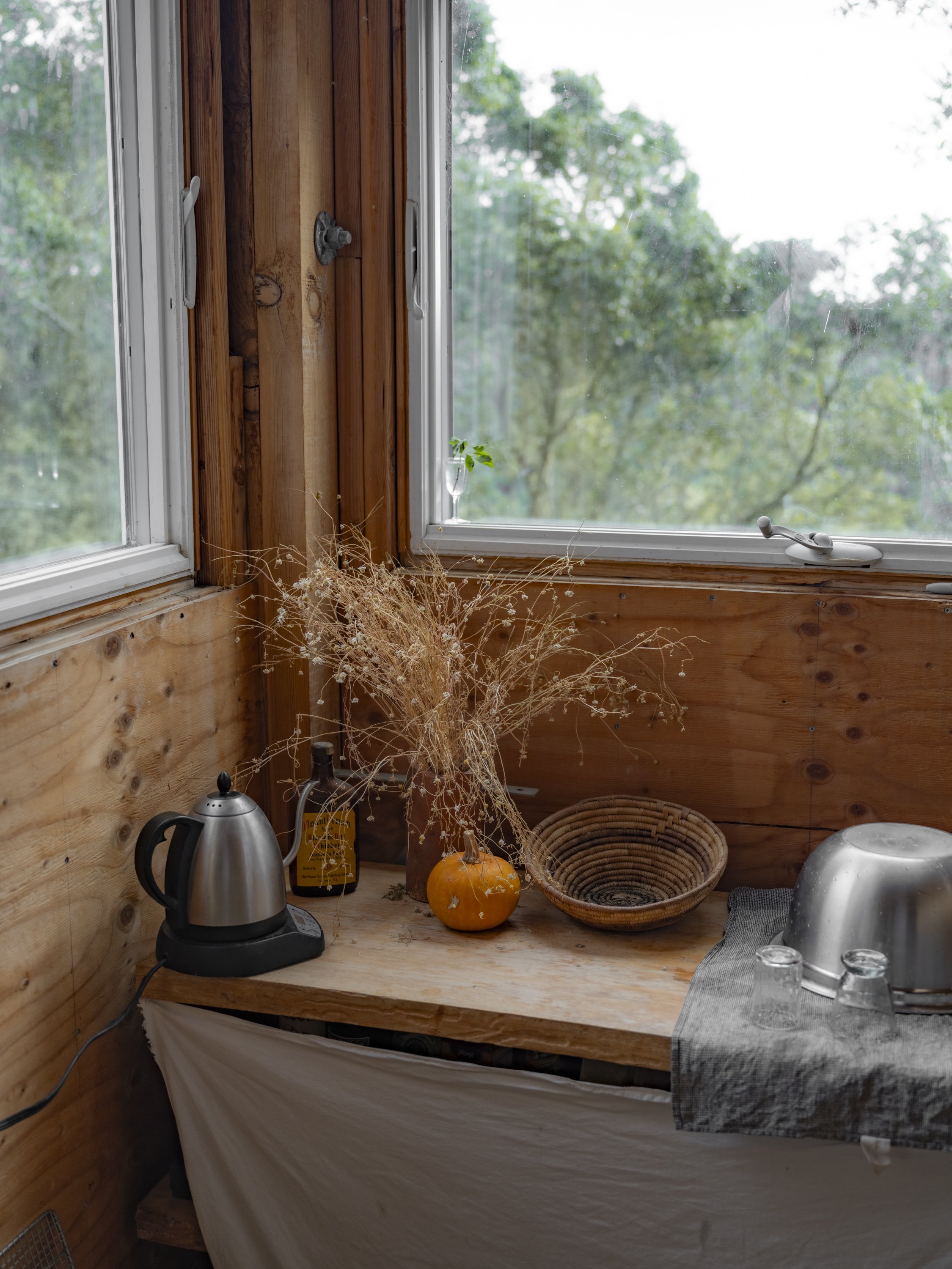 Elizabeth Snowden-65.jpg