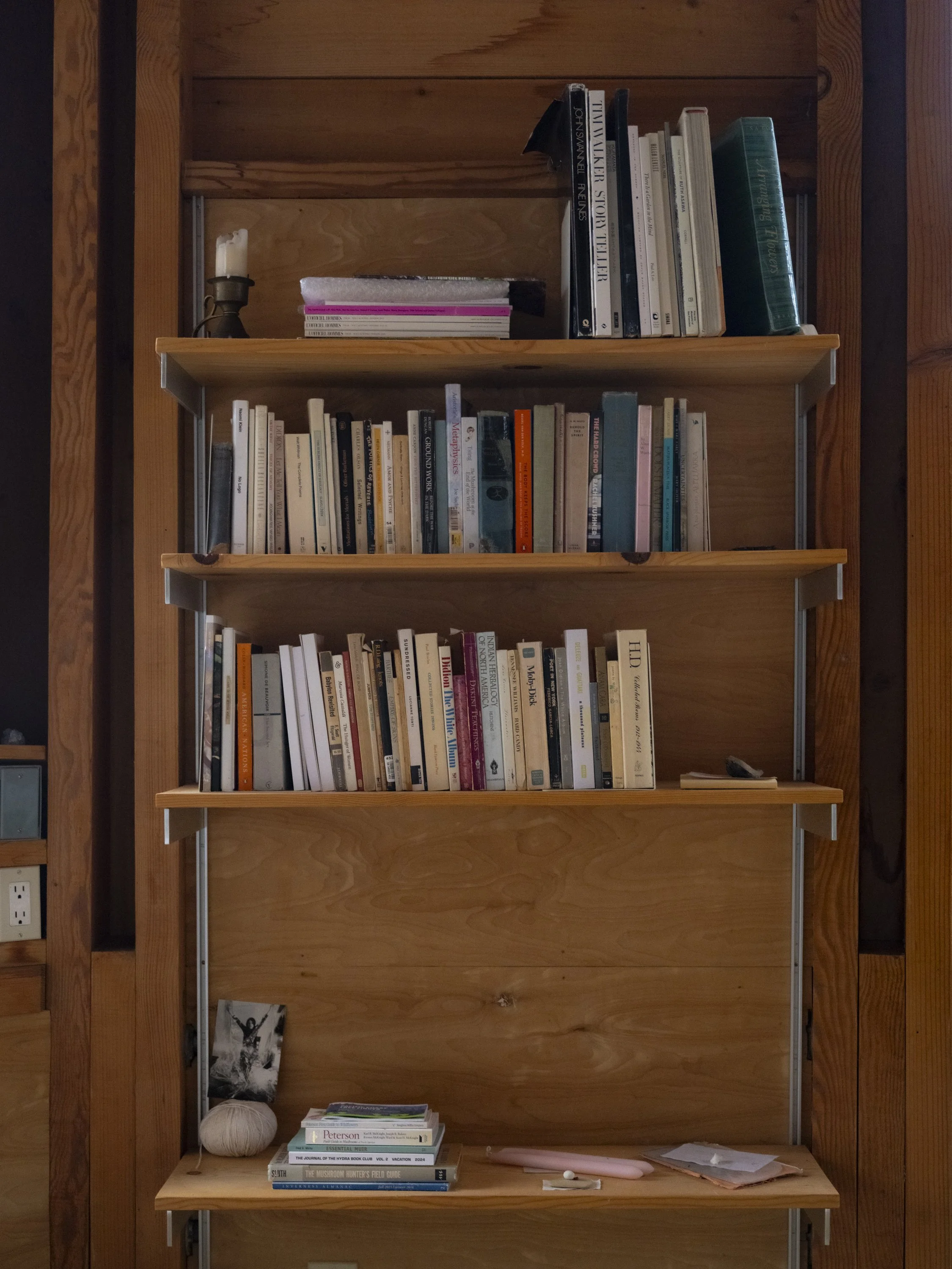 Elizabeth Snowden-76.jpg