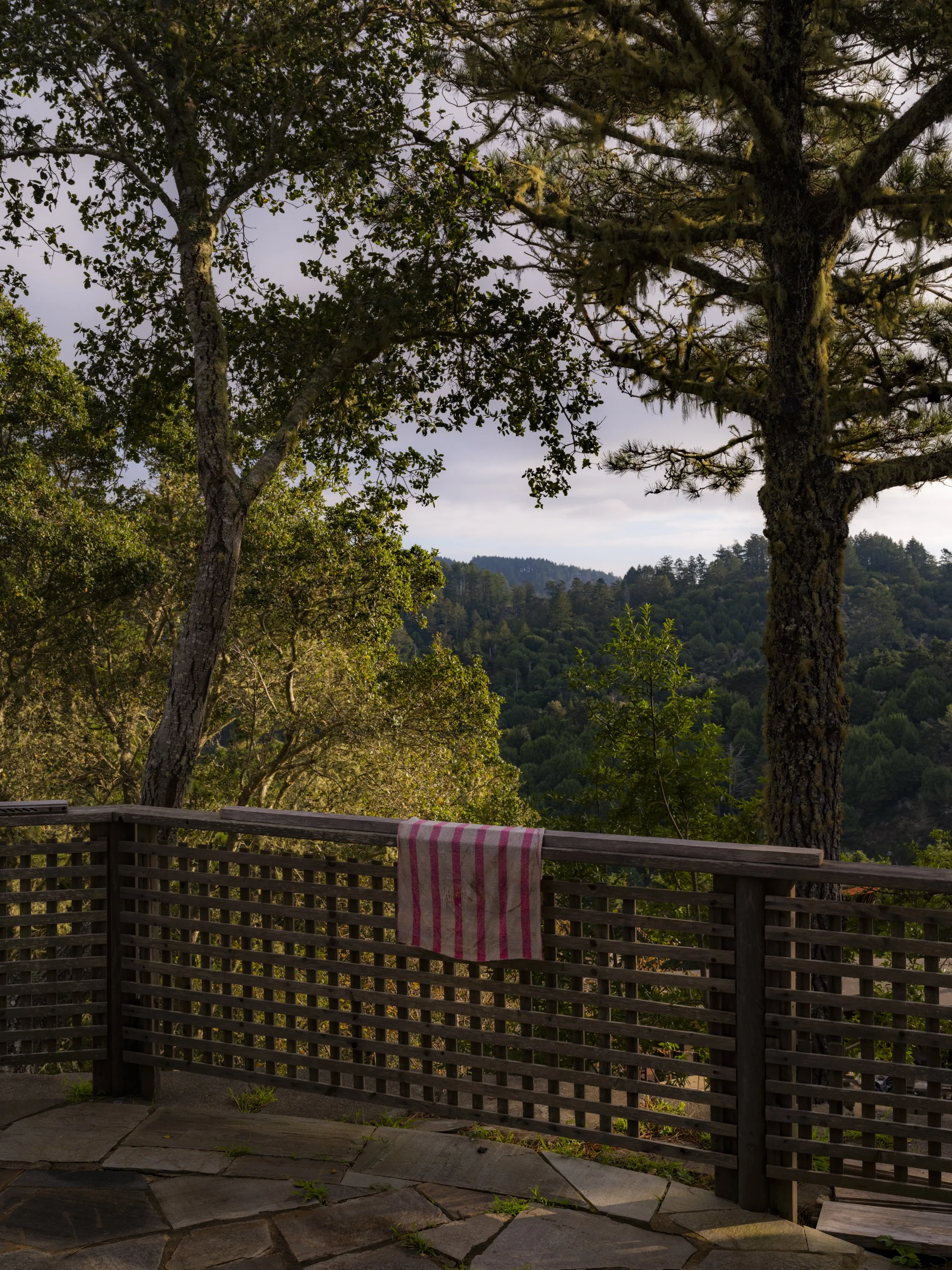 Elizabeth Snowden-77.jpg