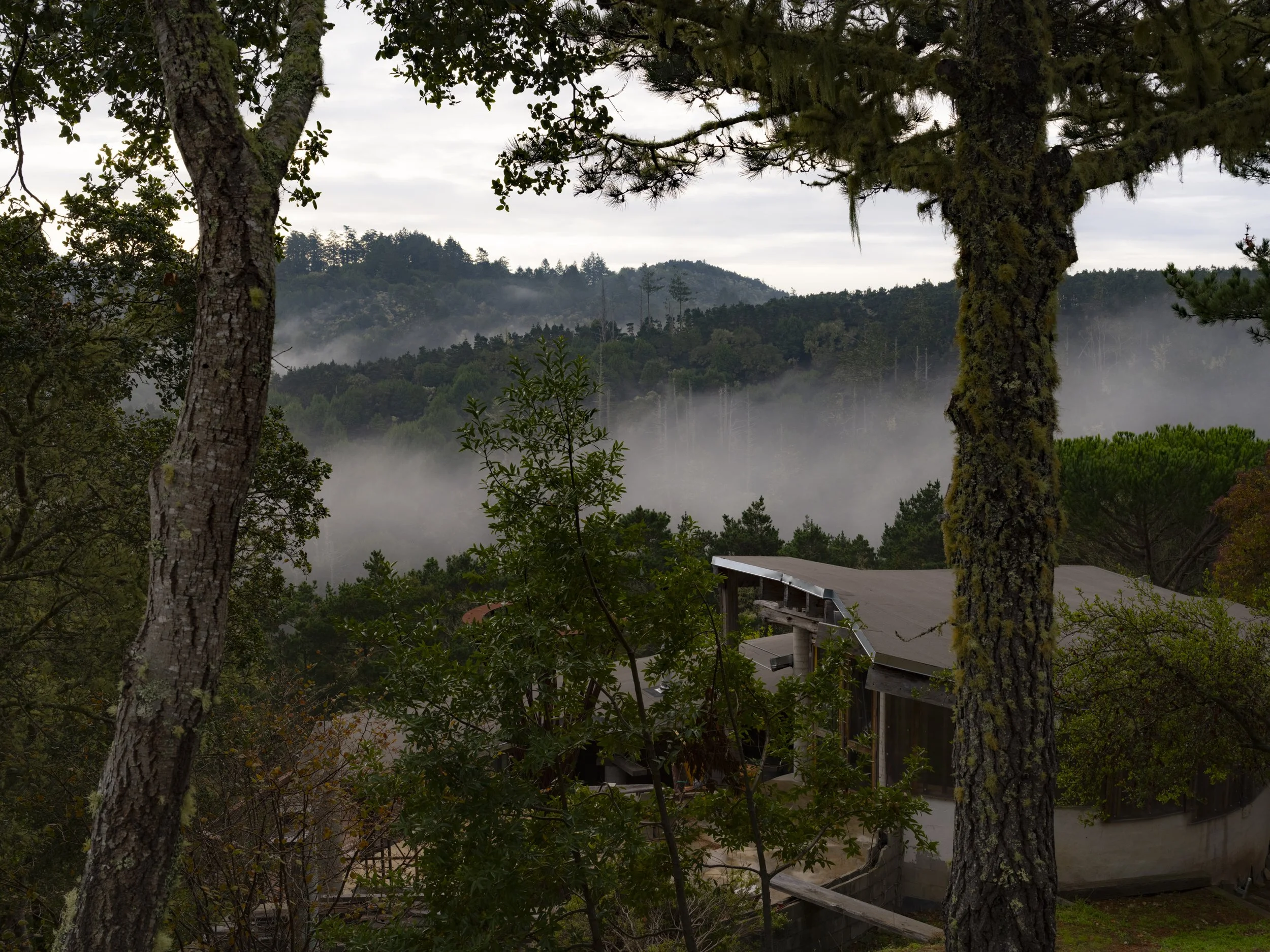 Elizabeth Snowden-78.jpg