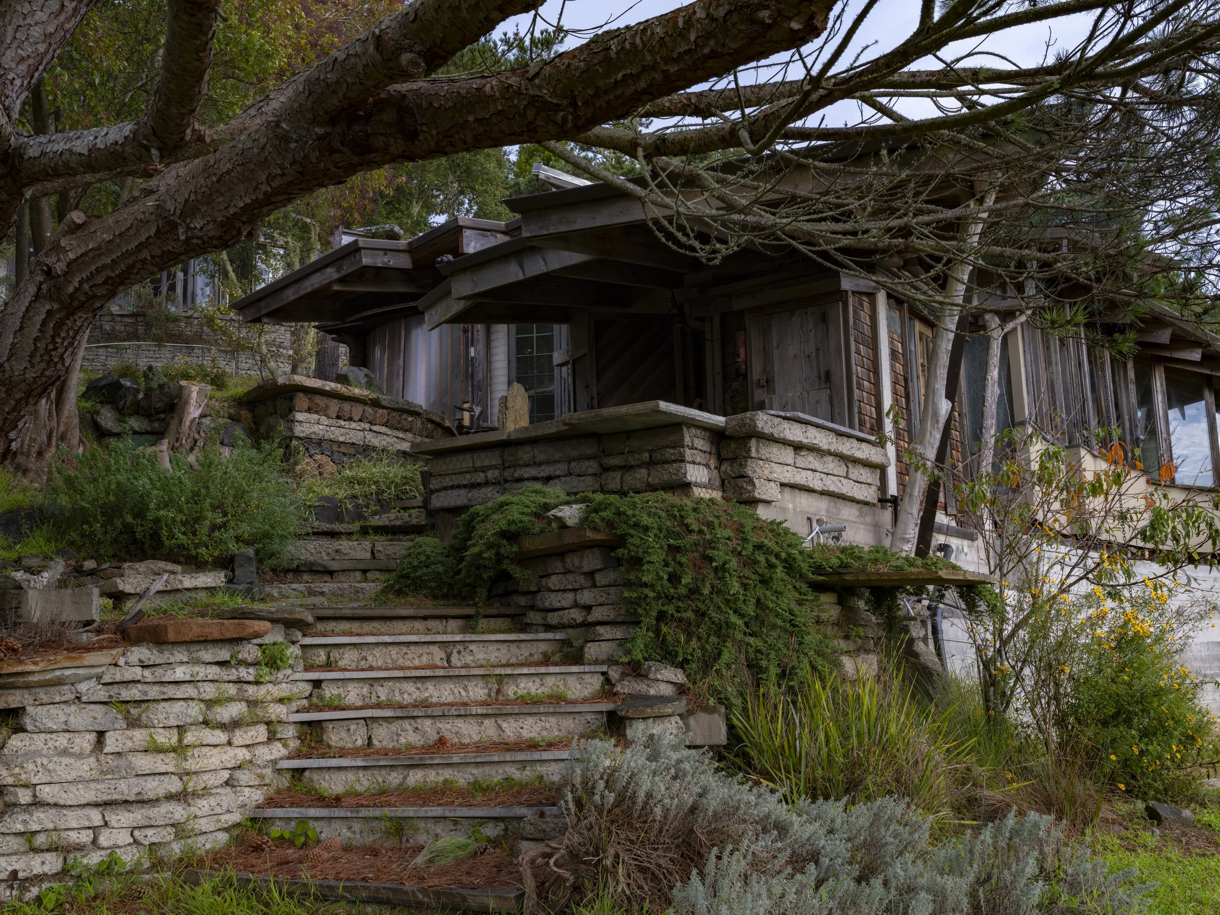 Elizabeth Snowden-85.jpg