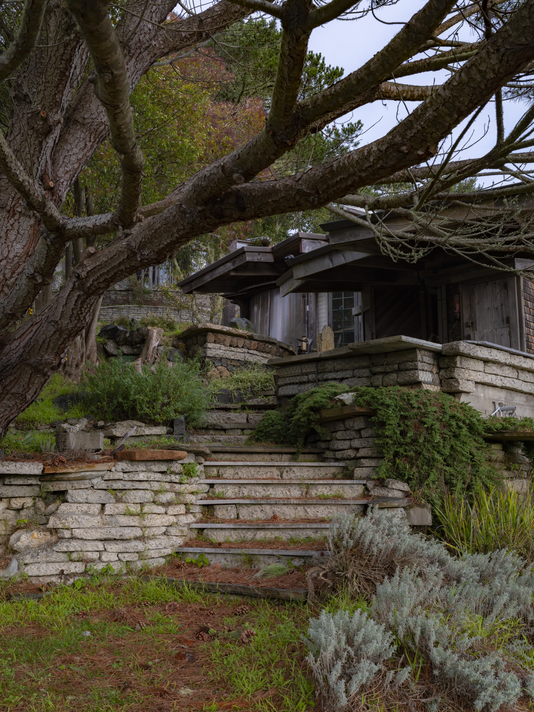 Elizabeth Snowden-86.jpg