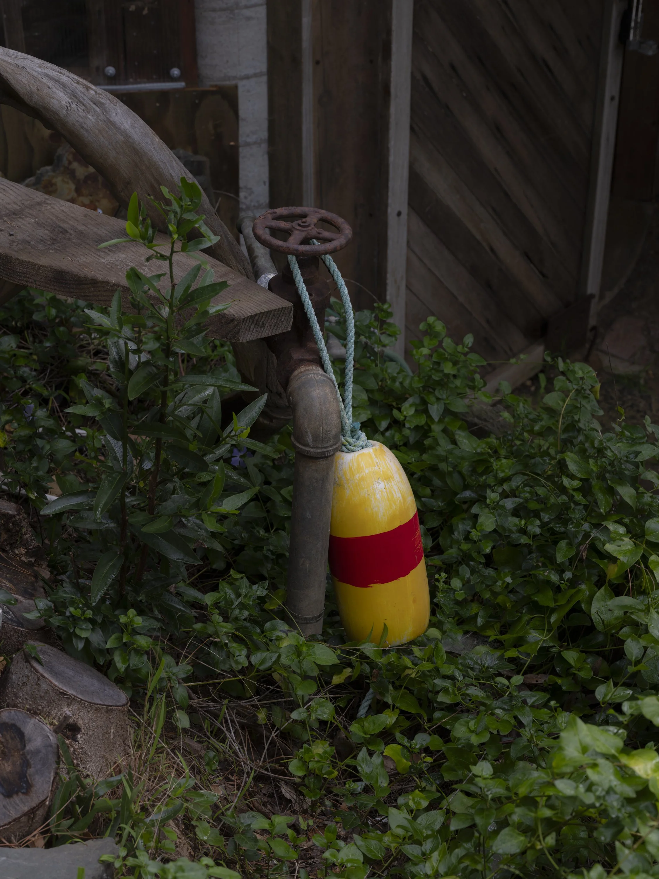 Elizabeth Snowden-89.jpg