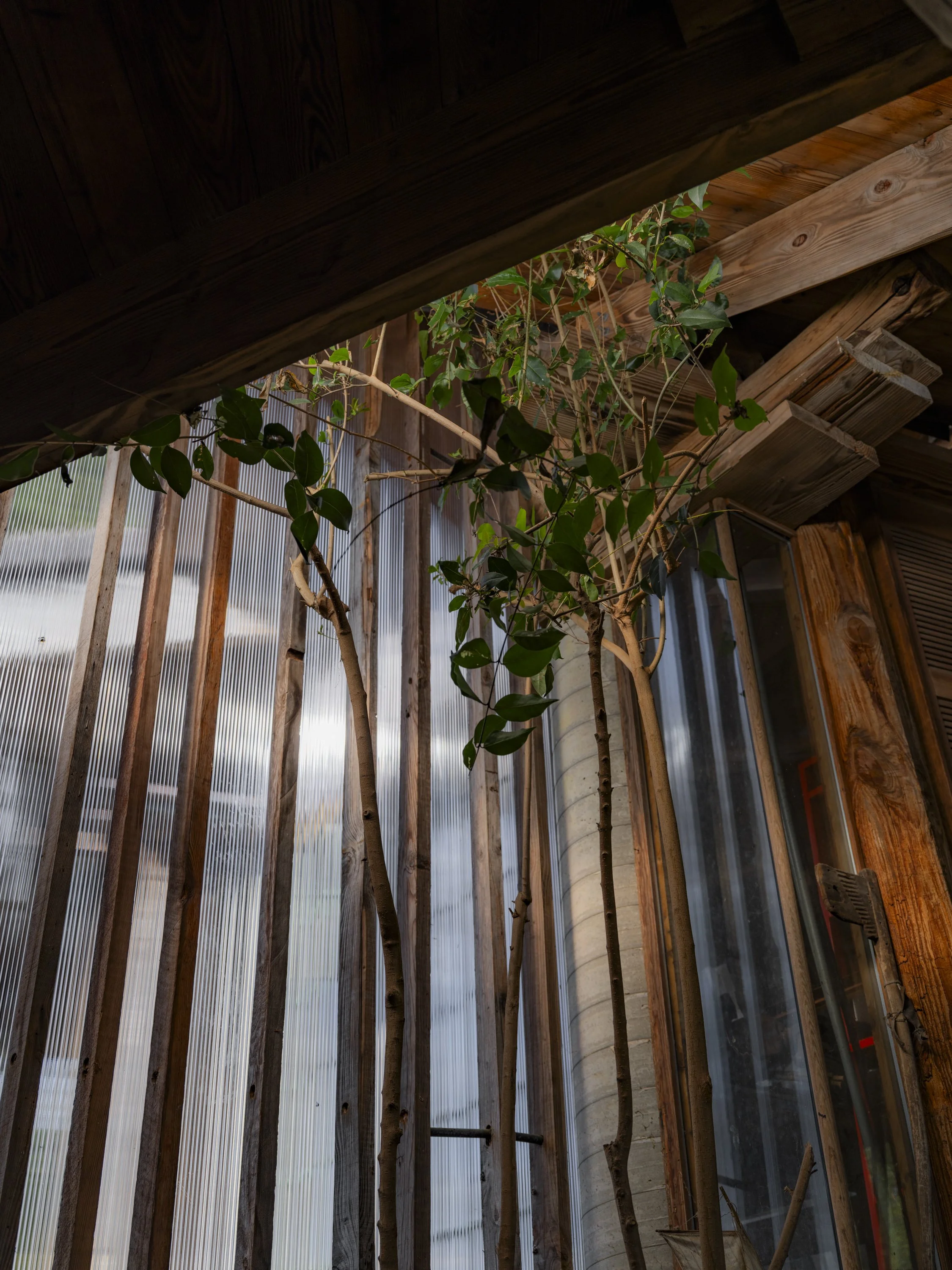 Elizabeth Snowden-93.jpg