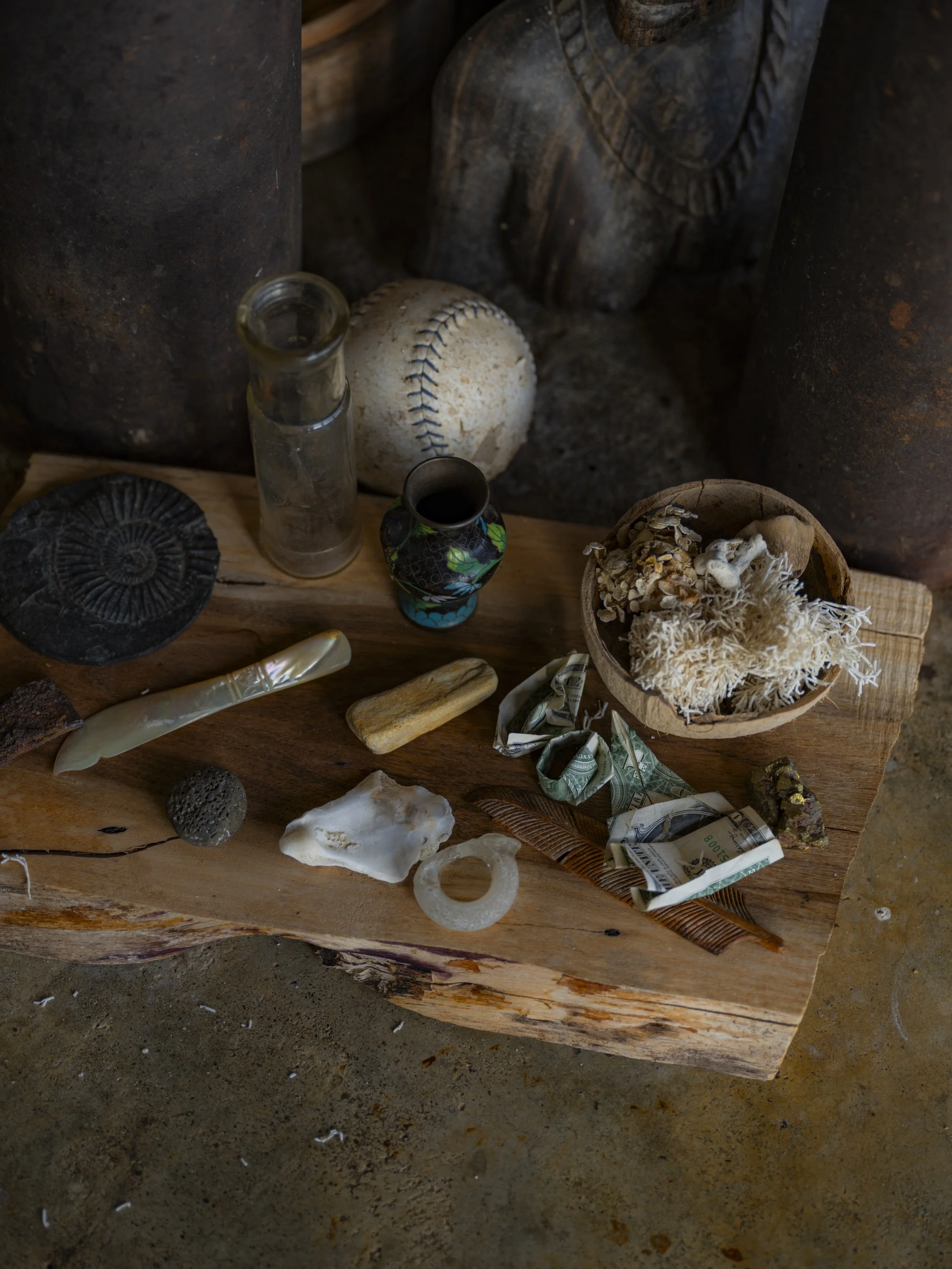 Elizabeth Snowden-114.jpg