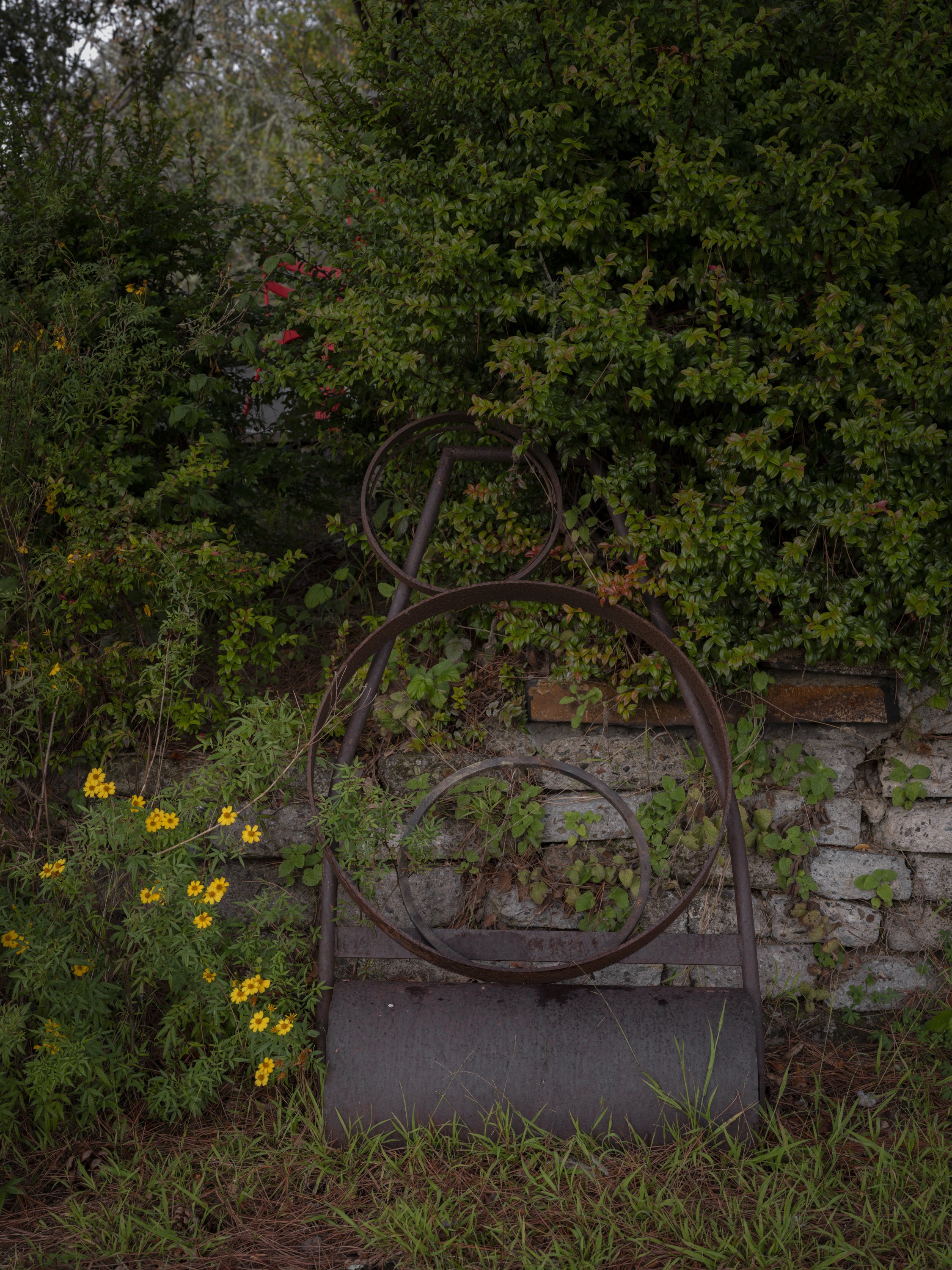 Elizabeth Snowden-122.jpg