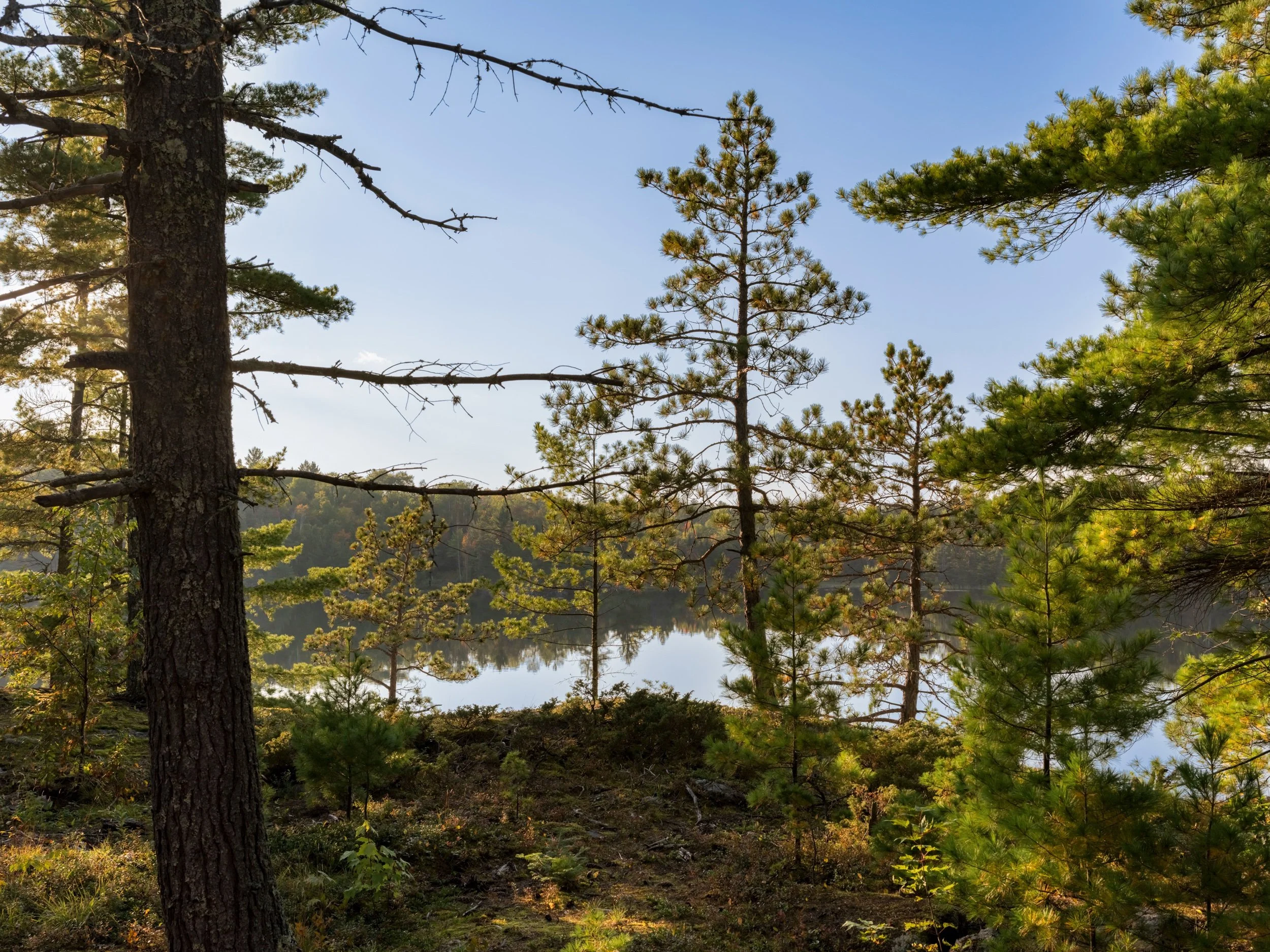 The Island - Web-64.jpeg