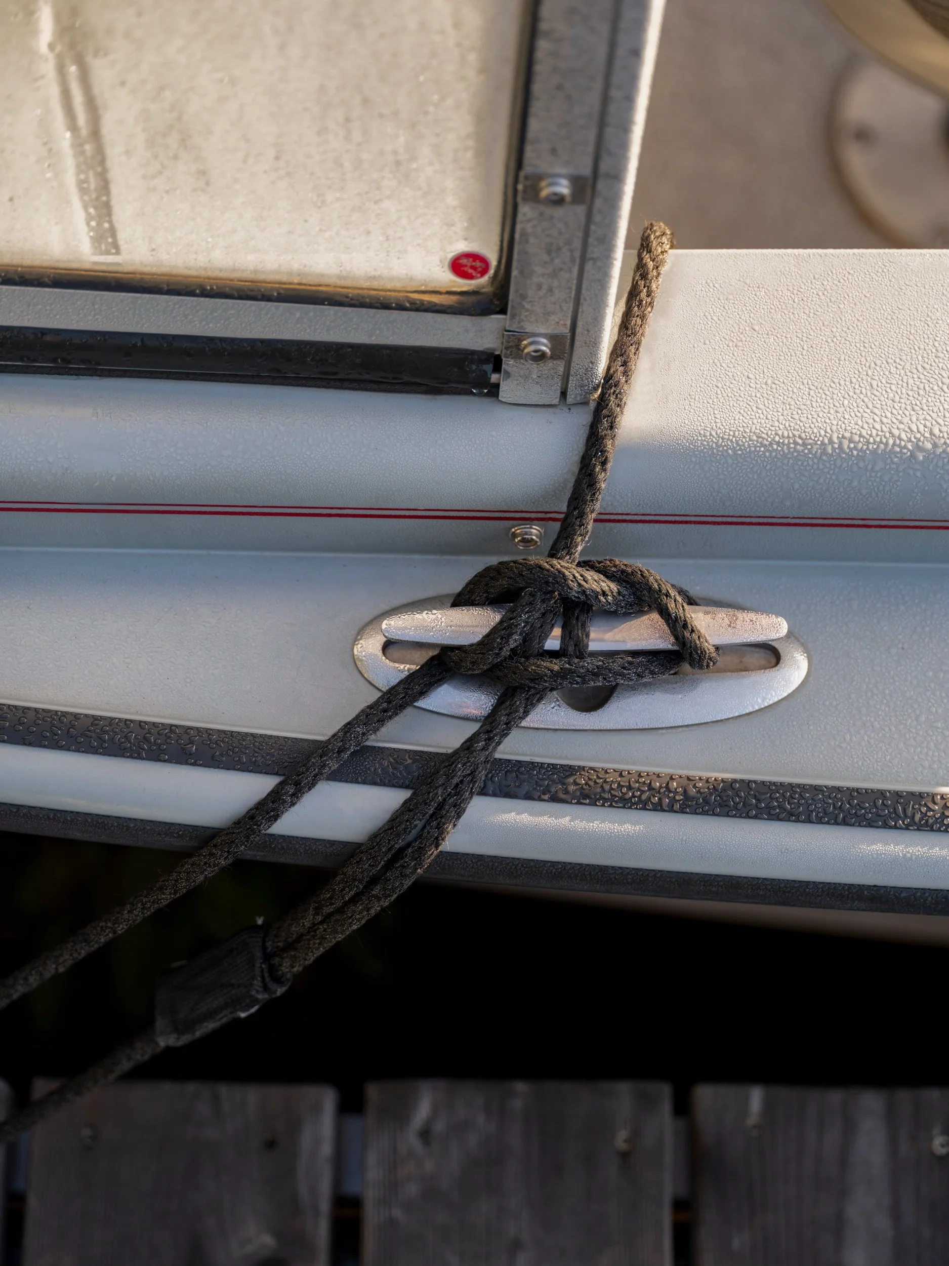 The Island - Web-95.jpeg