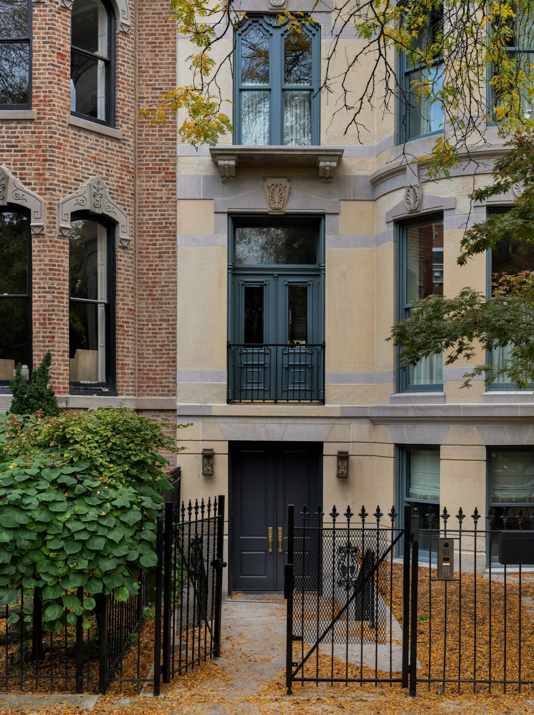 CBD - Henry - JPG-84.jpeg