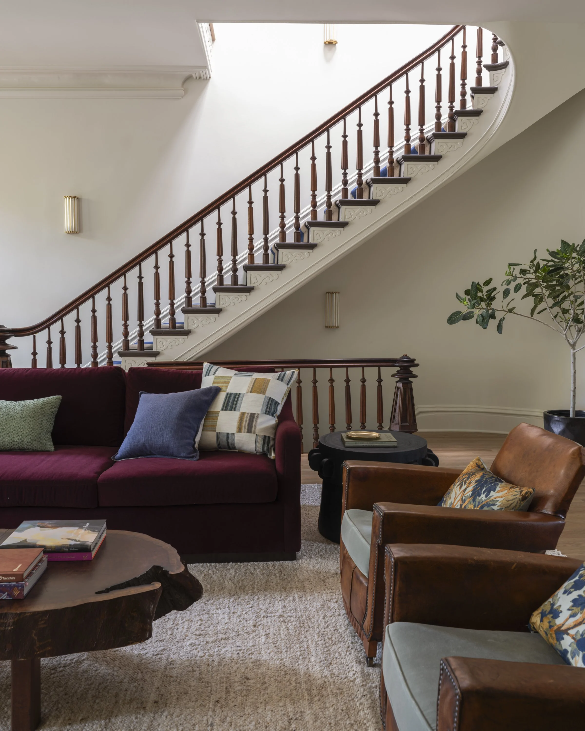 CBD - Henry - JPG-9.jpg