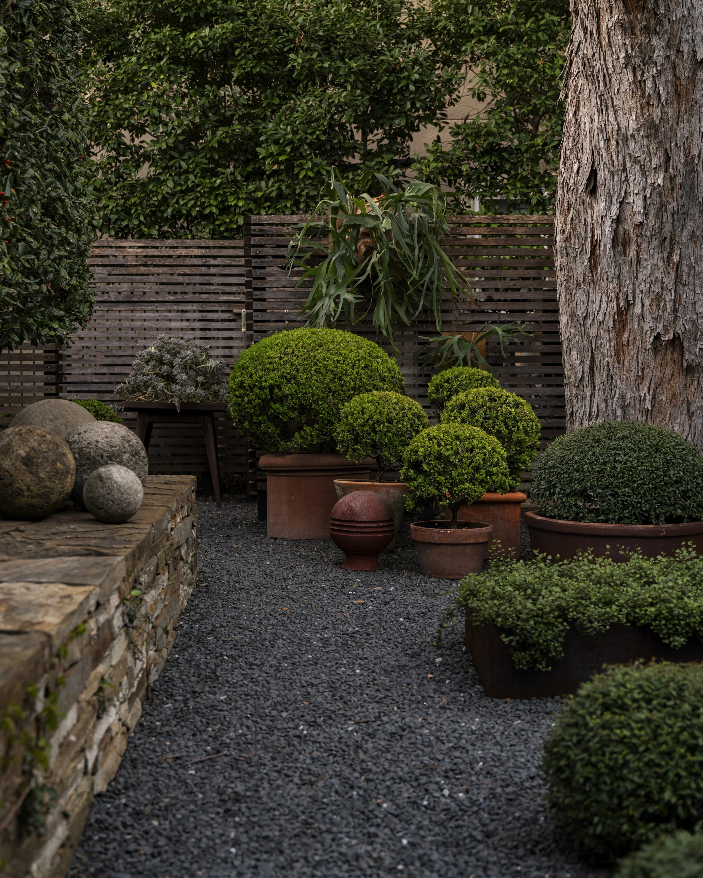 Ryan Lawson - JPG-48.jpg