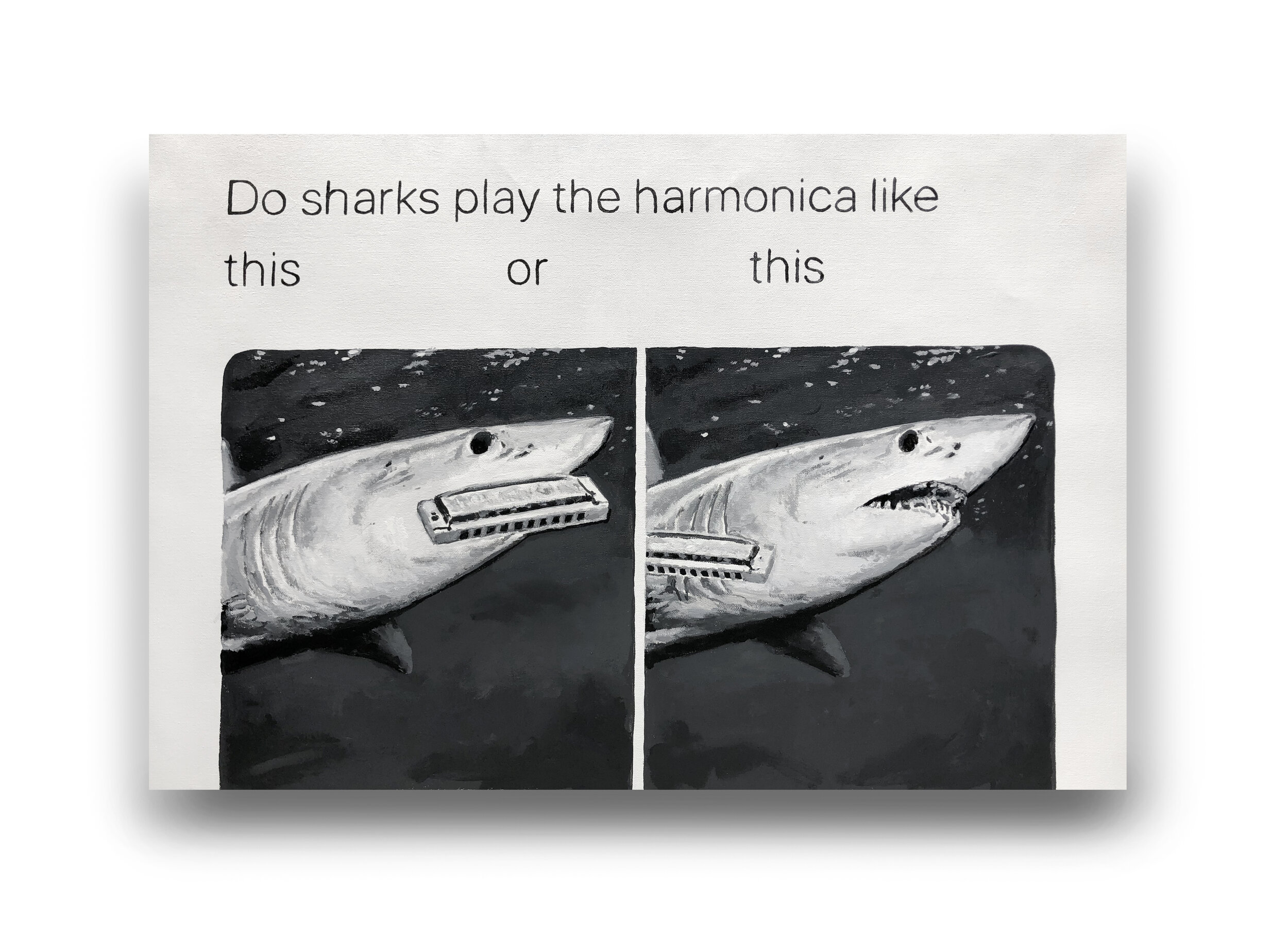 Do  Sharks Play