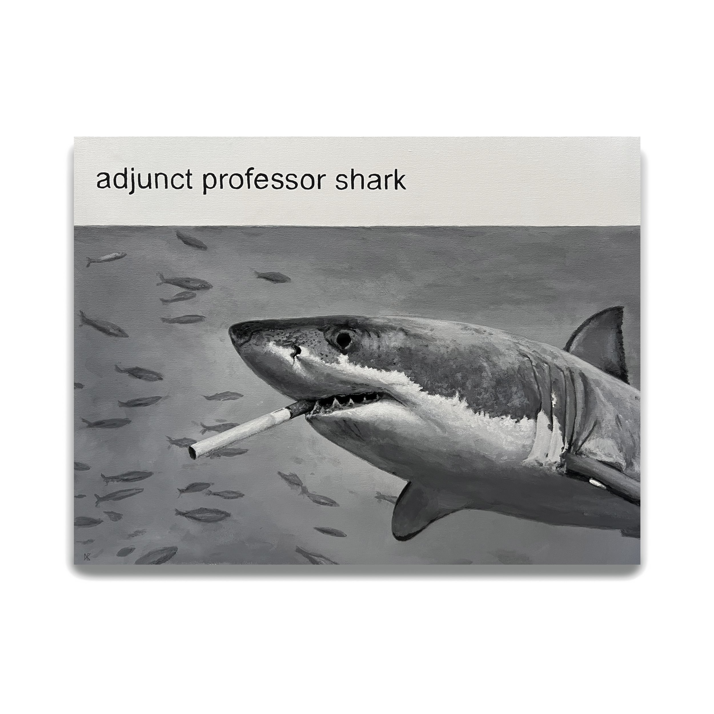 Adjunct Professor Shark