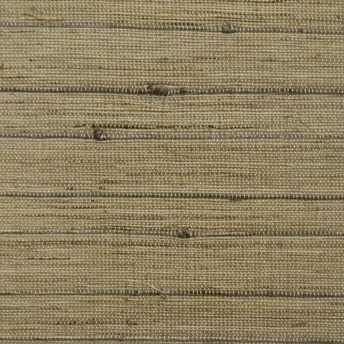 SLW-11.gif