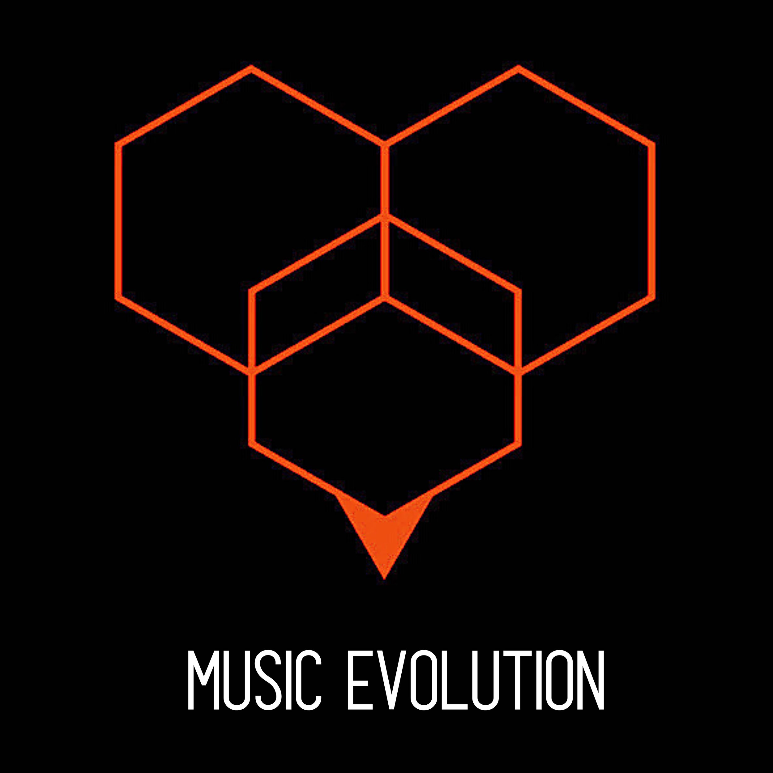 Music Evolution