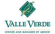 vv_desktop_logo.png