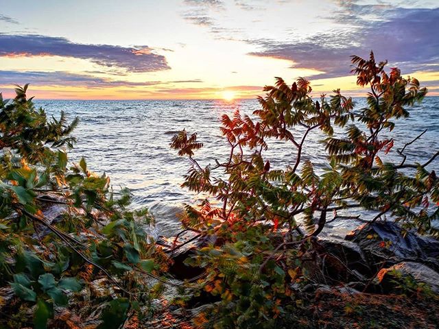 Welcome to another incredible season on the Great Lakes 🍁 As we say farewell to Summer and embrace the Autumn, it&rsquo;s time for beach visits wrapped up in sweaters, holding warm drinks &amp; enjoying the perfect backdrop for changing leaves like 