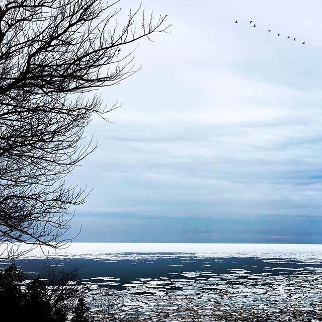 Who else has been visiting the shoreline every day to see what changes the thaw brings? Remember to share your photos, videos &amp; stories with us from across the Great Lakes by using #loveyourgreats 💙🌊