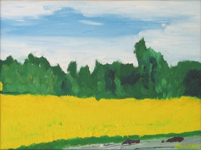 Canola Field North Edmonton