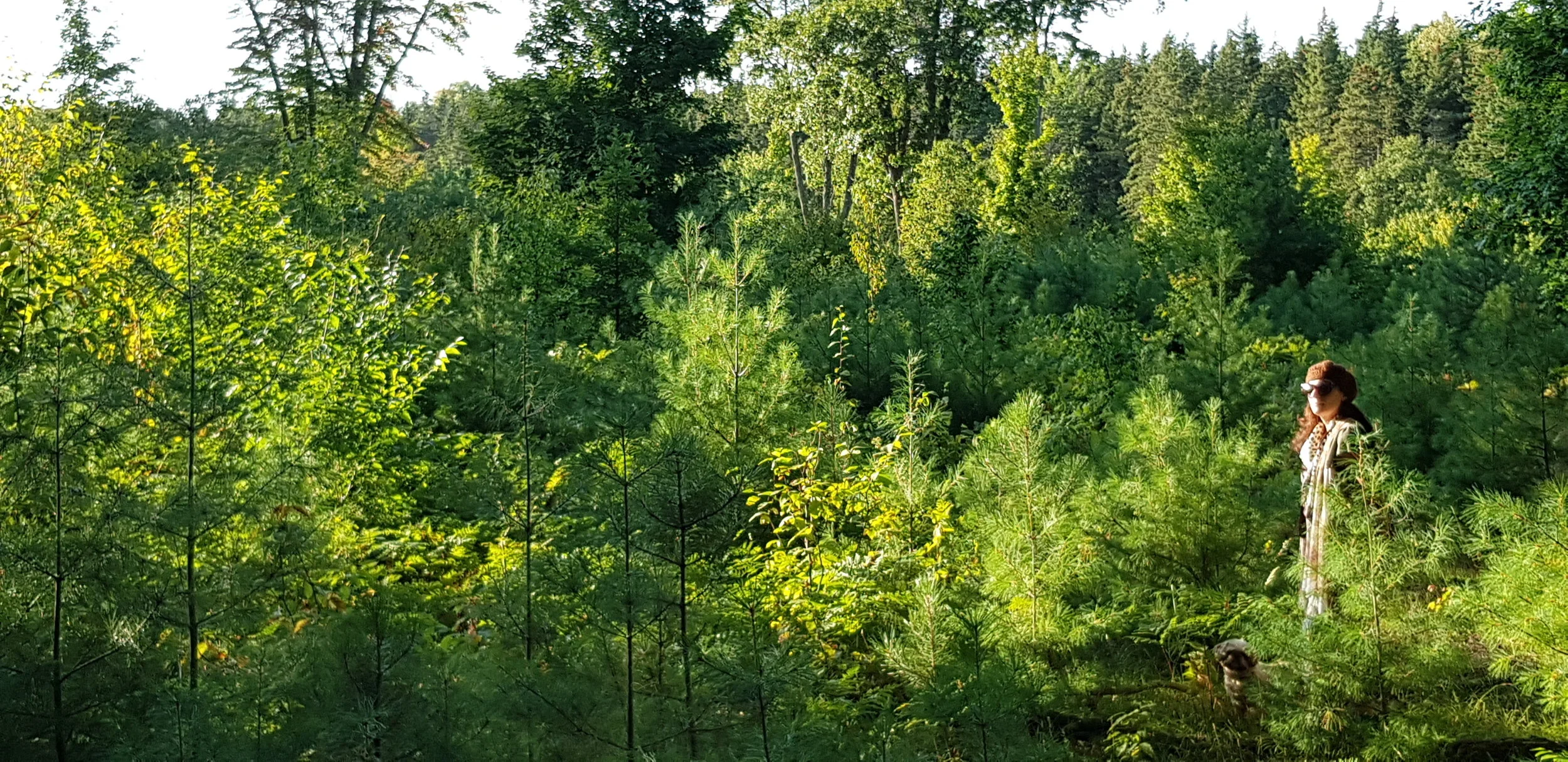 20190901_190046.jpg