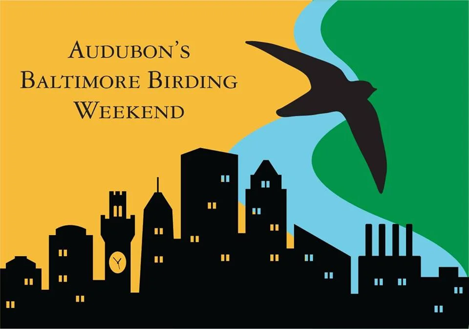 Audubon's Baltimore Birding Weekend